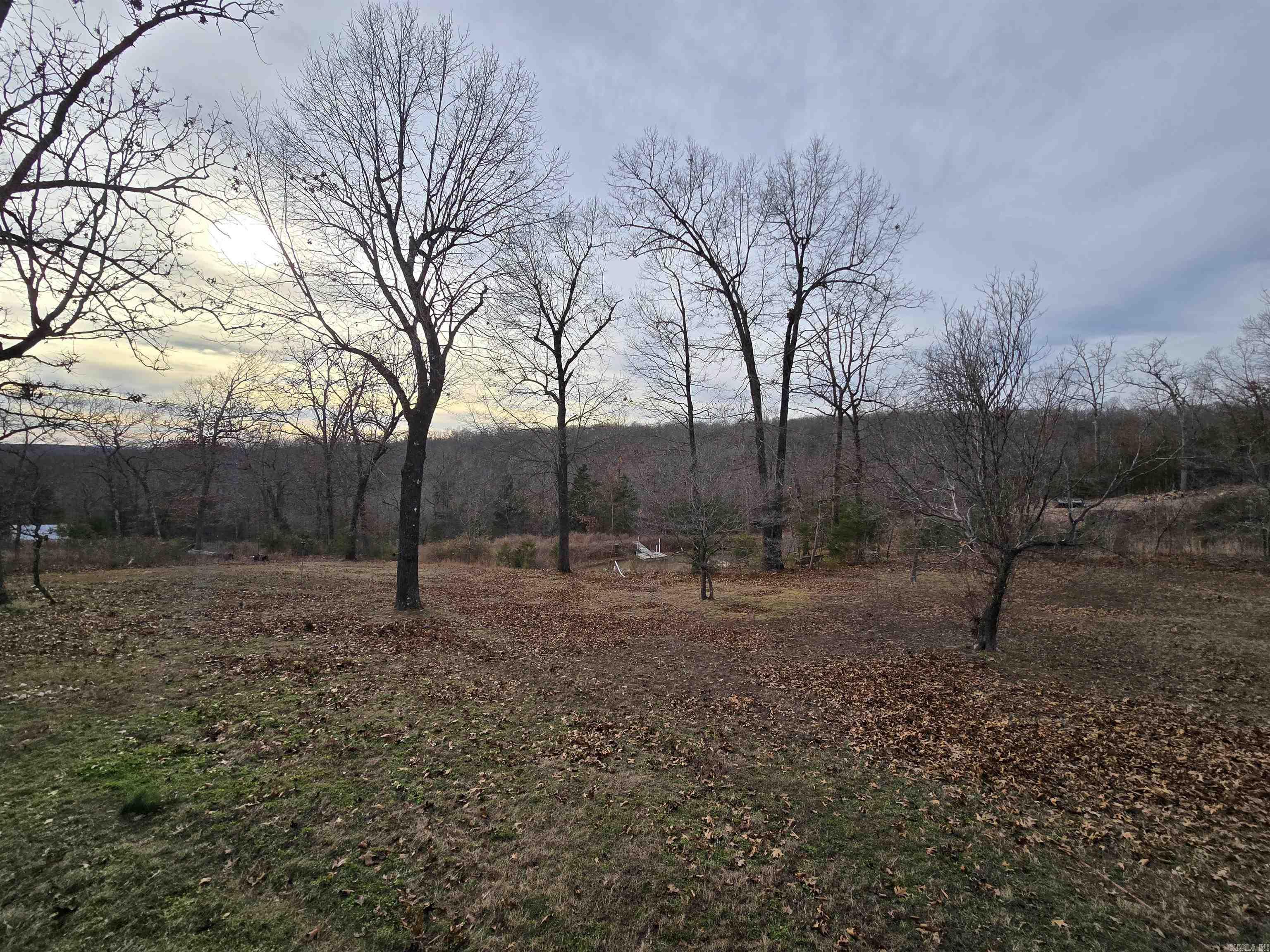 367 Bent Oak LN  Midway, AR