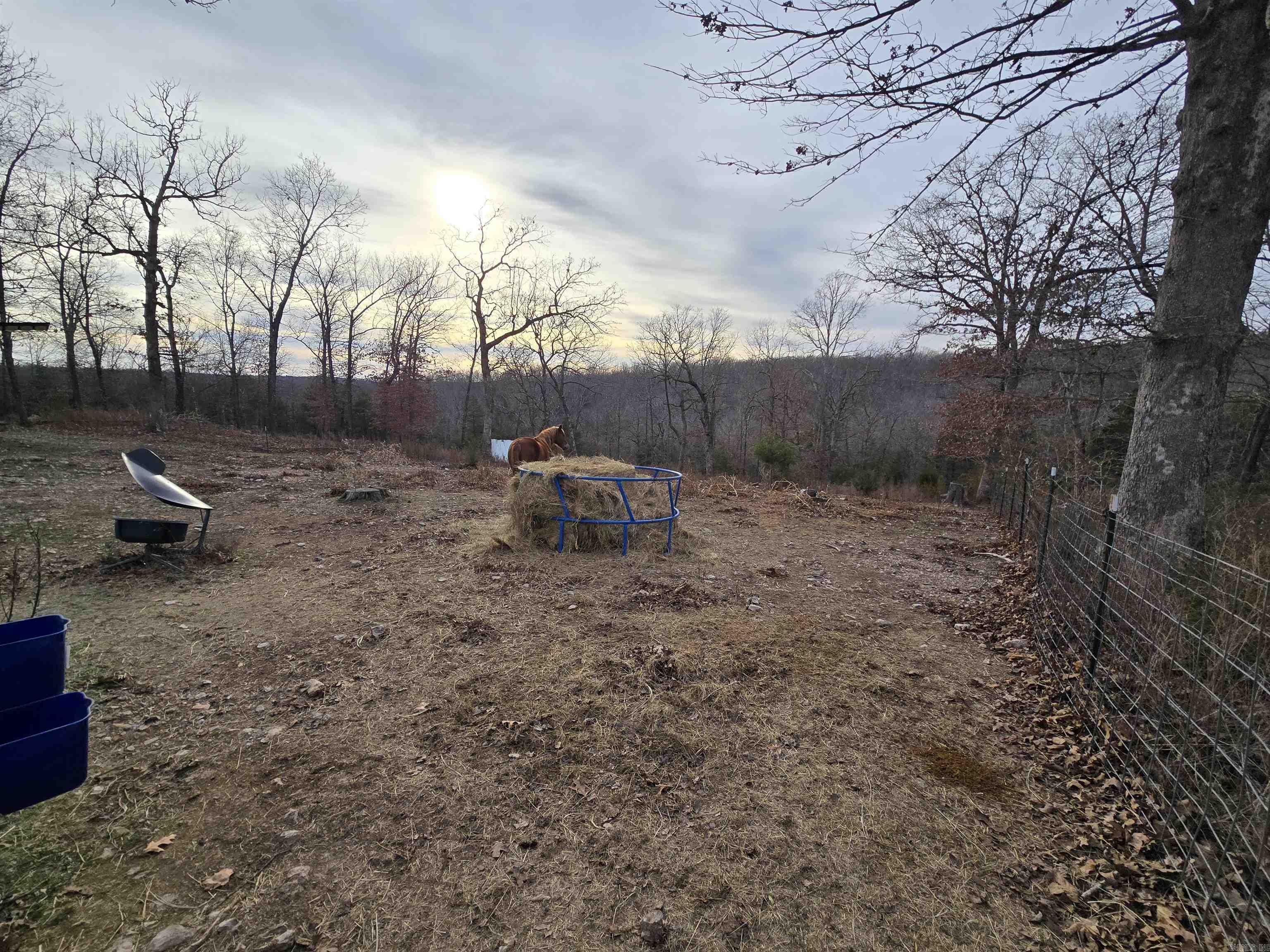 367 Bent Oak LN  Midway, AR