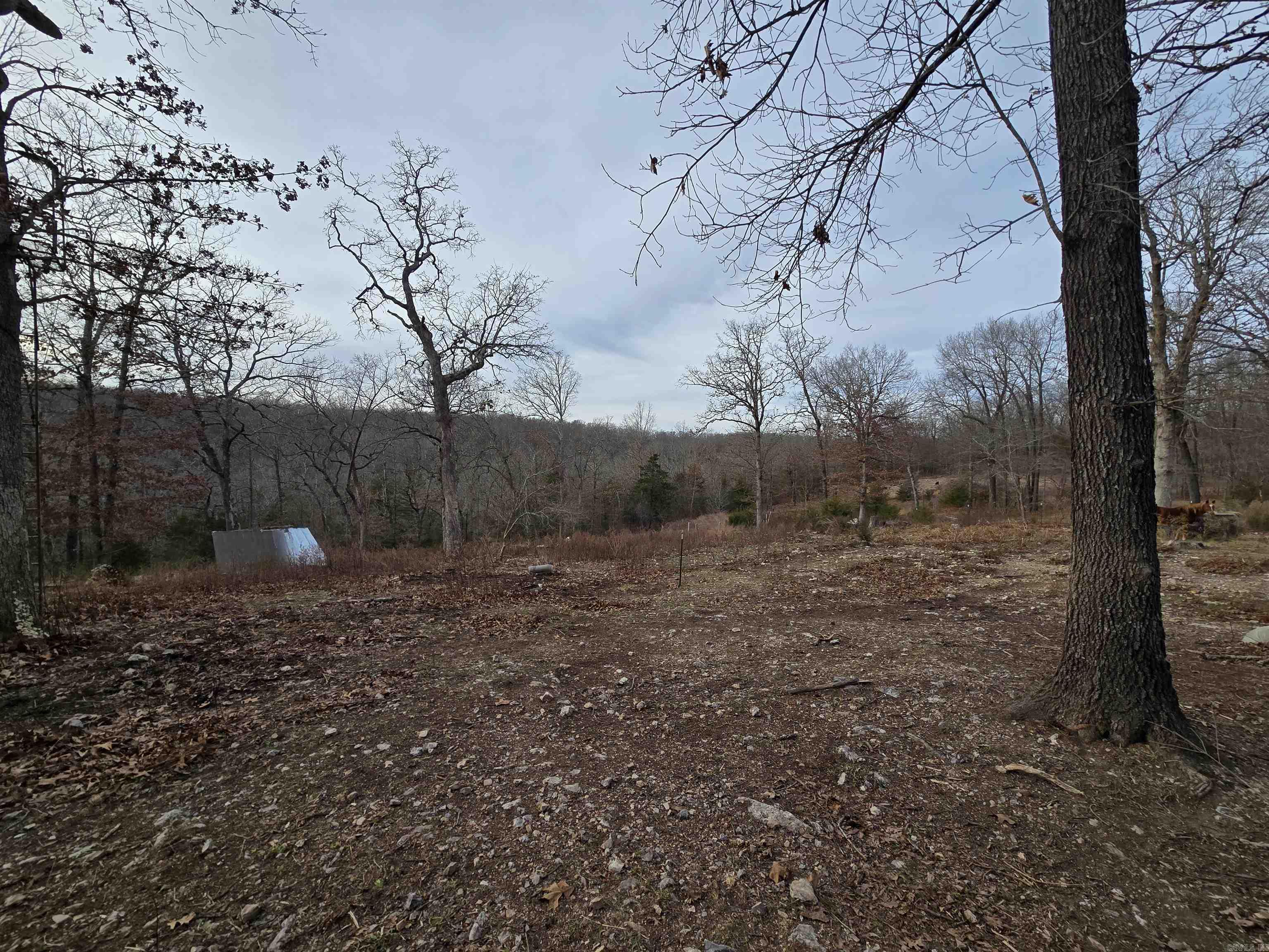 367 Bent Oak LN  Midway, AR