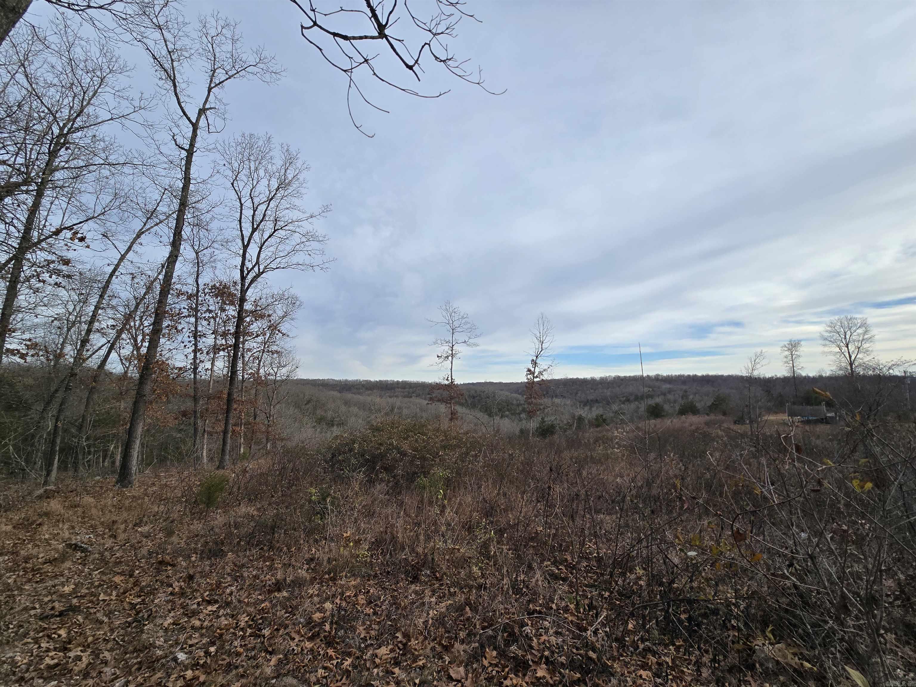 367 Bent Oak LN  Midway, AR