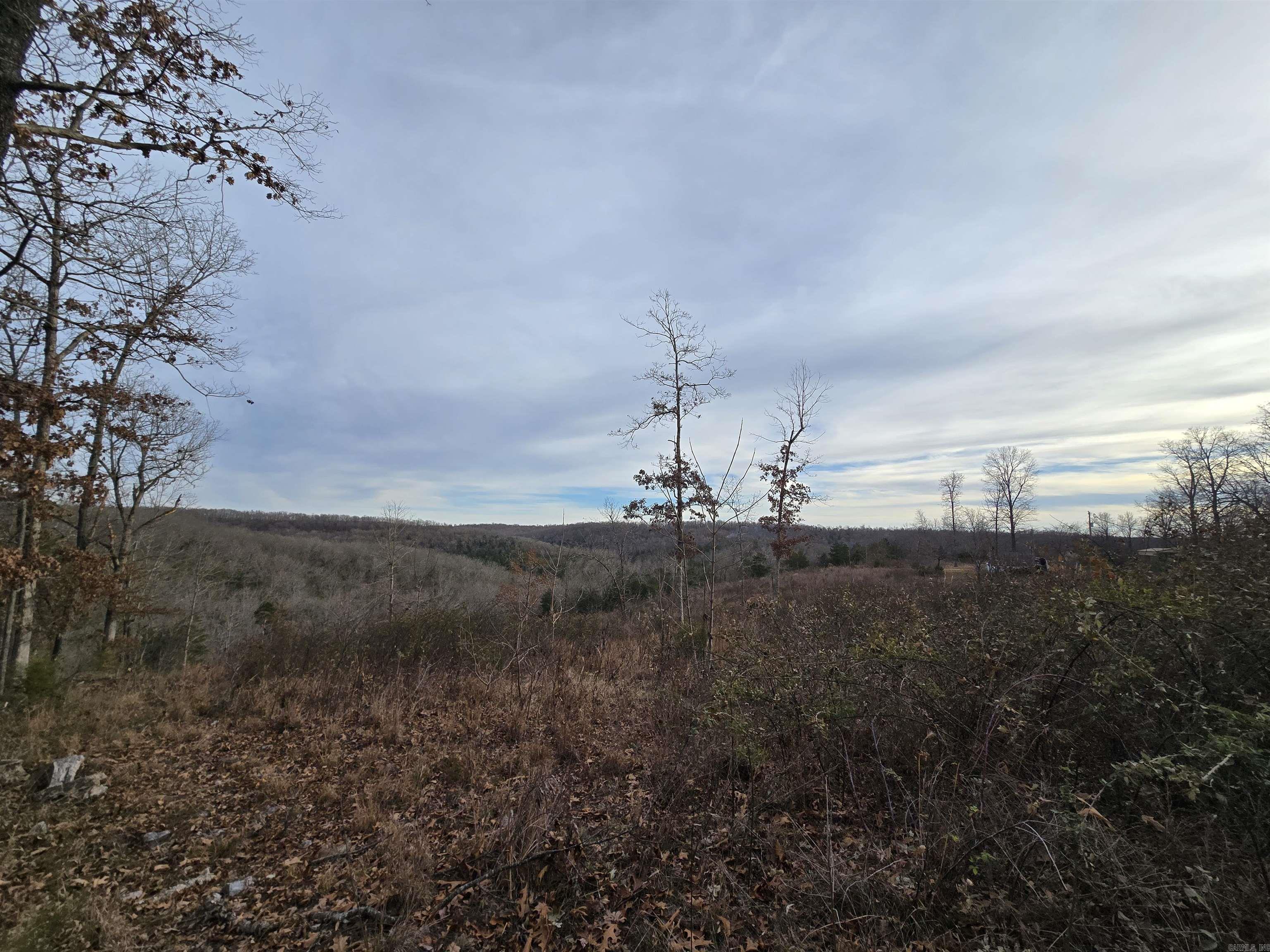 367 Bent Oak LN  Midway, AR