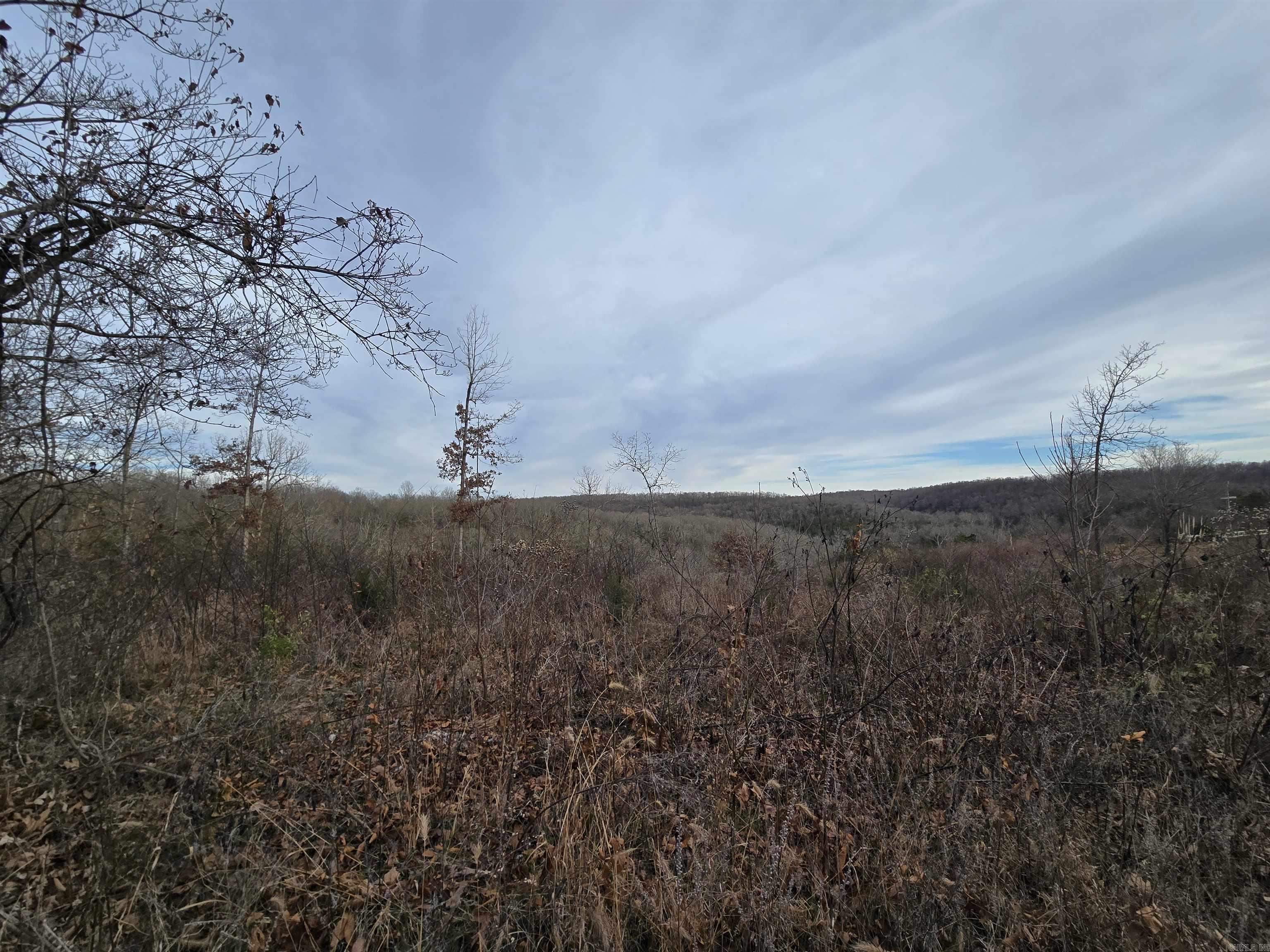 367 Bent Oak LN  Midway, AR