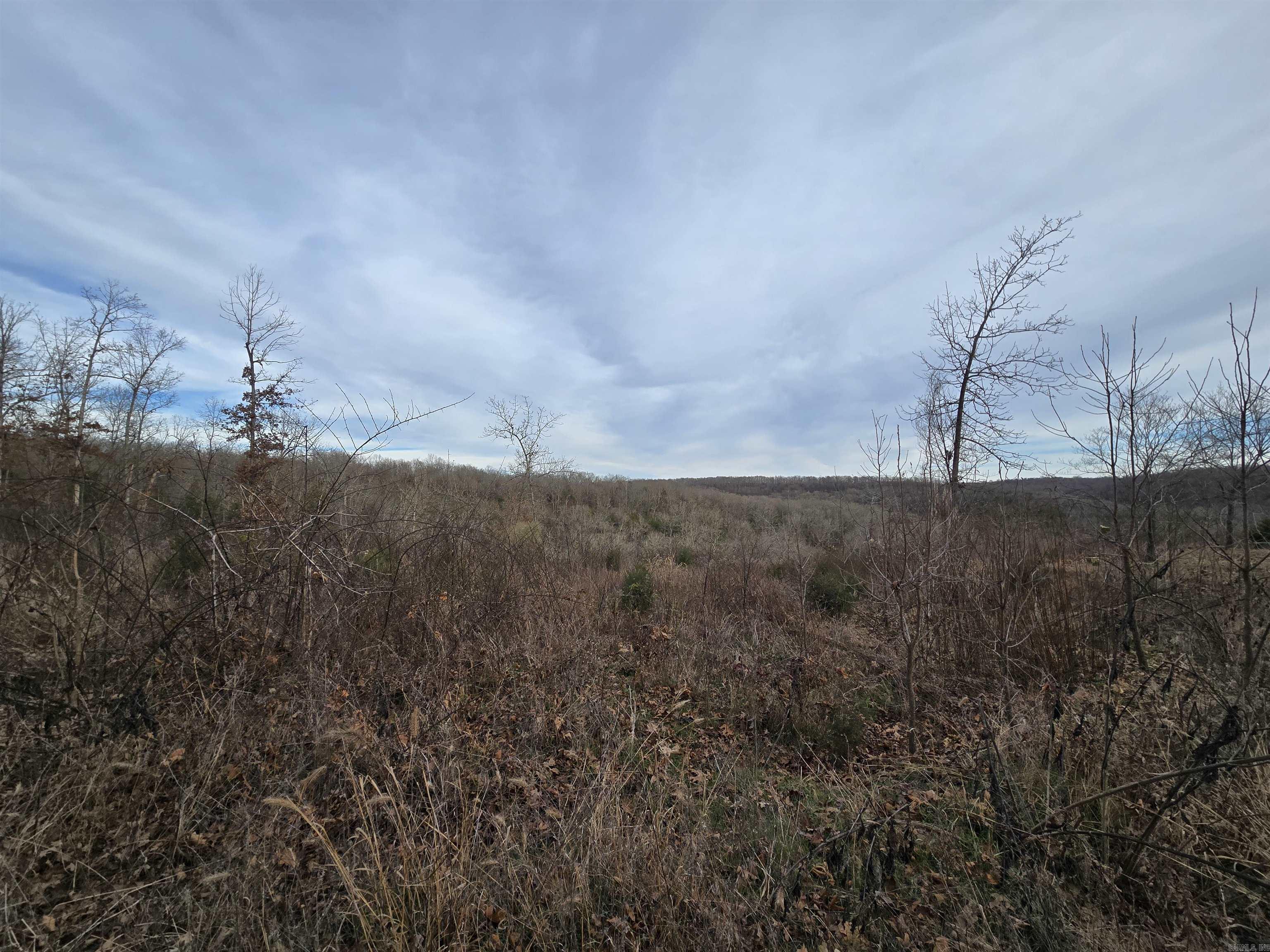 367 Bent Oak LN  Midway, AR