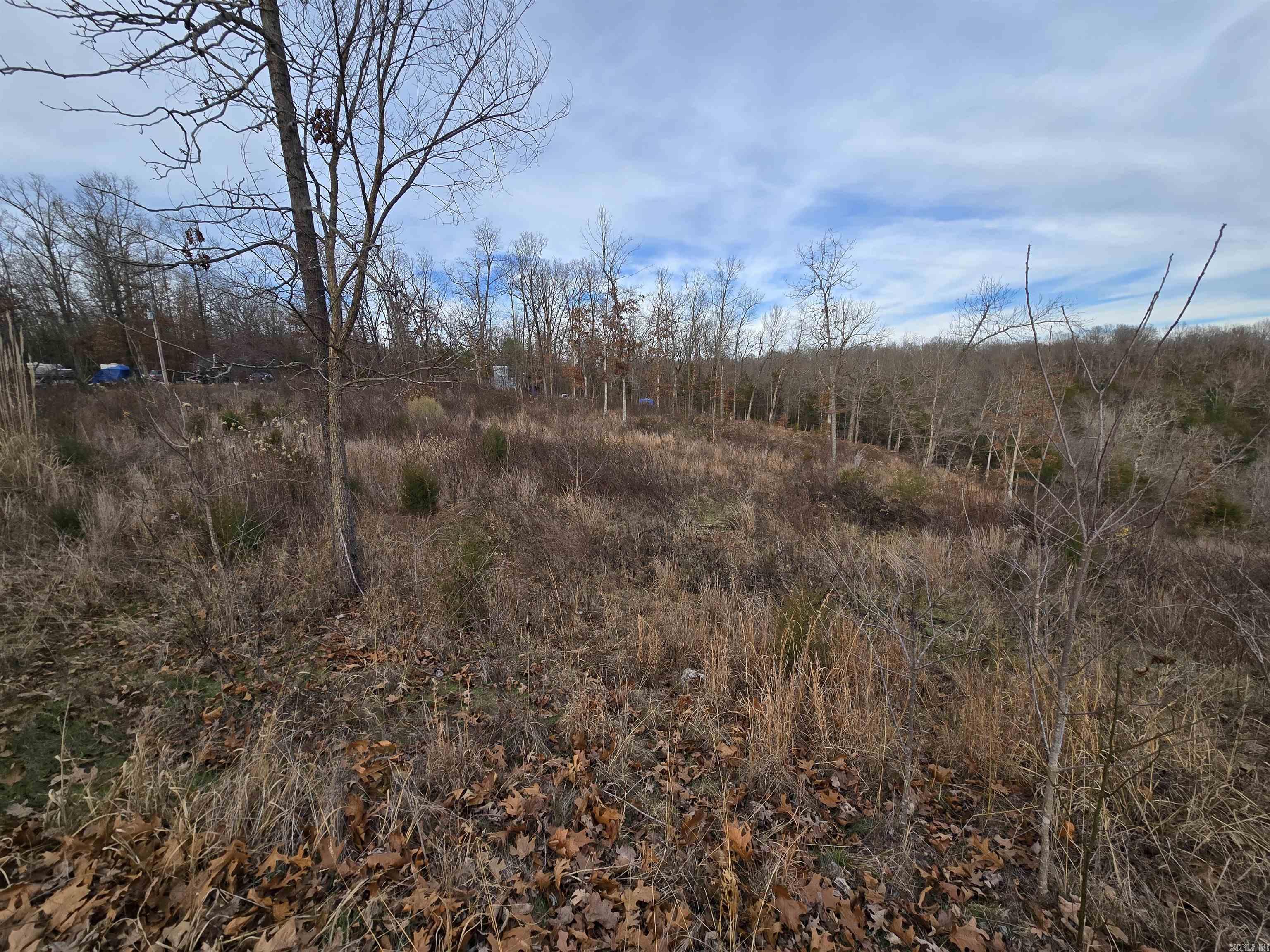 367 Bent Oak LN  Midway, AR