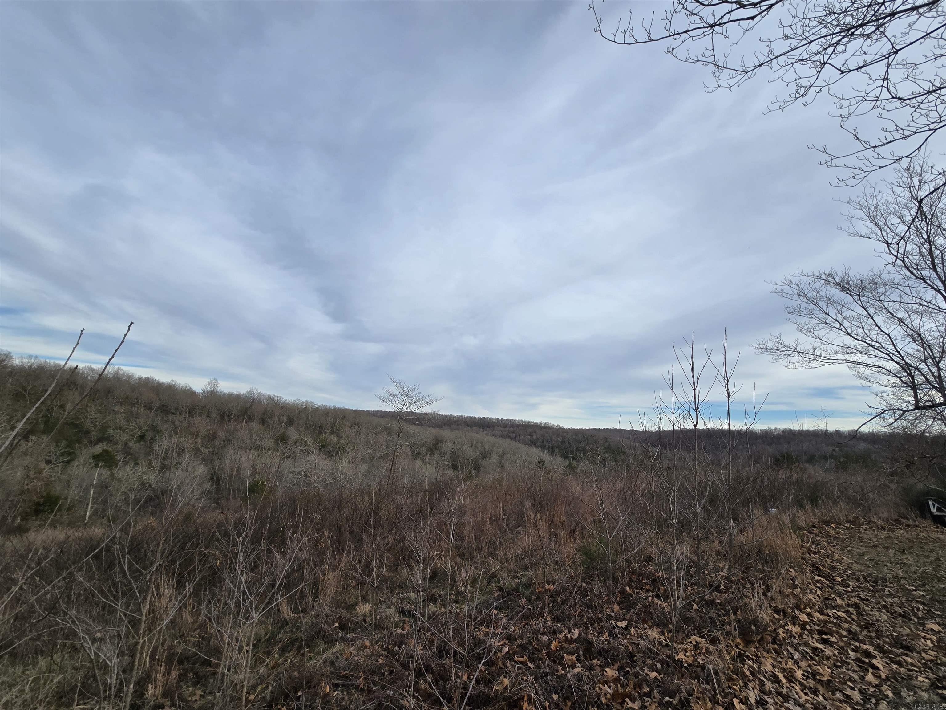 367 Bent Oak LN  Midway, AR