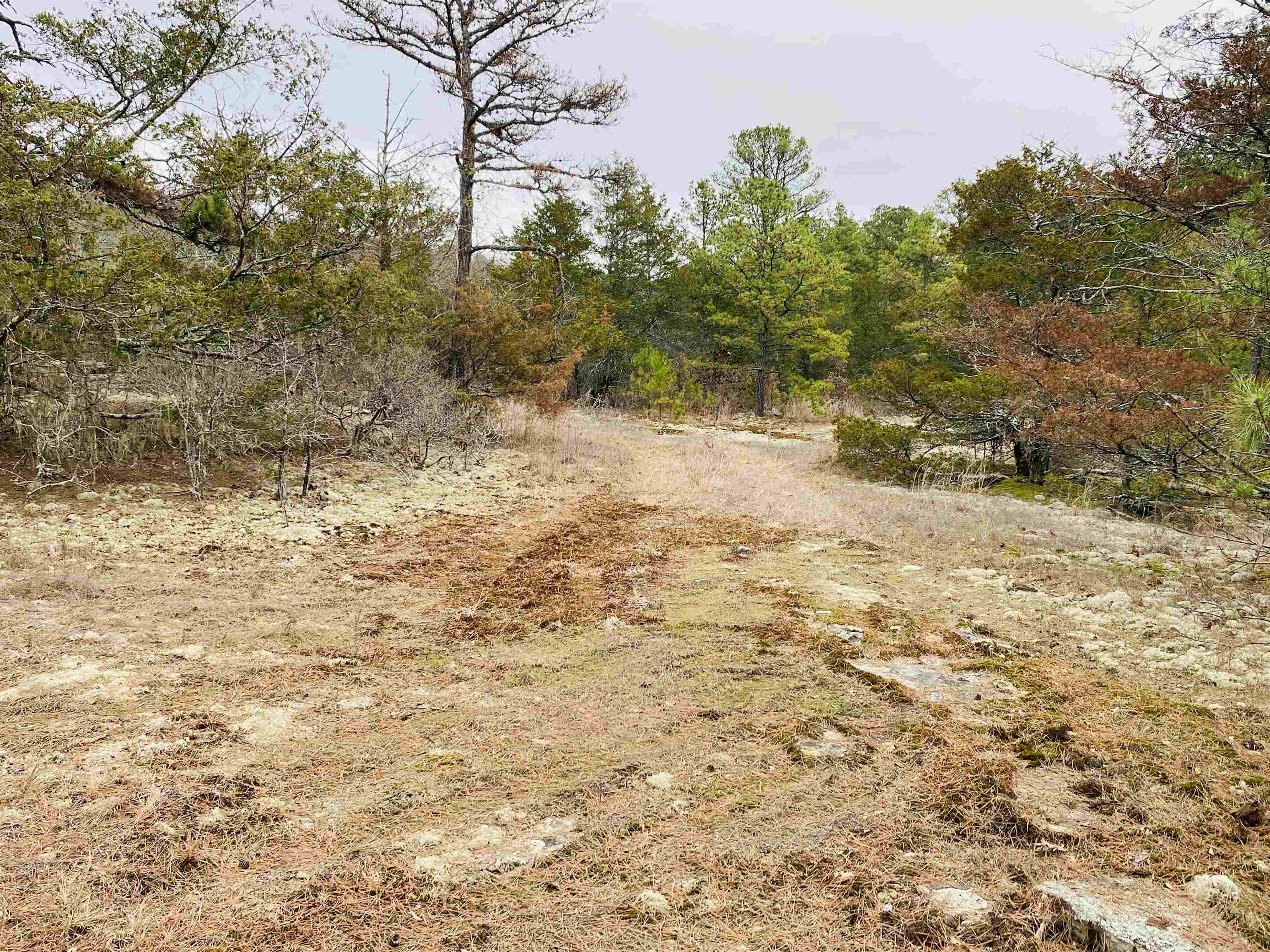 1019 Bartmess Road Calico Rock, AR 72519