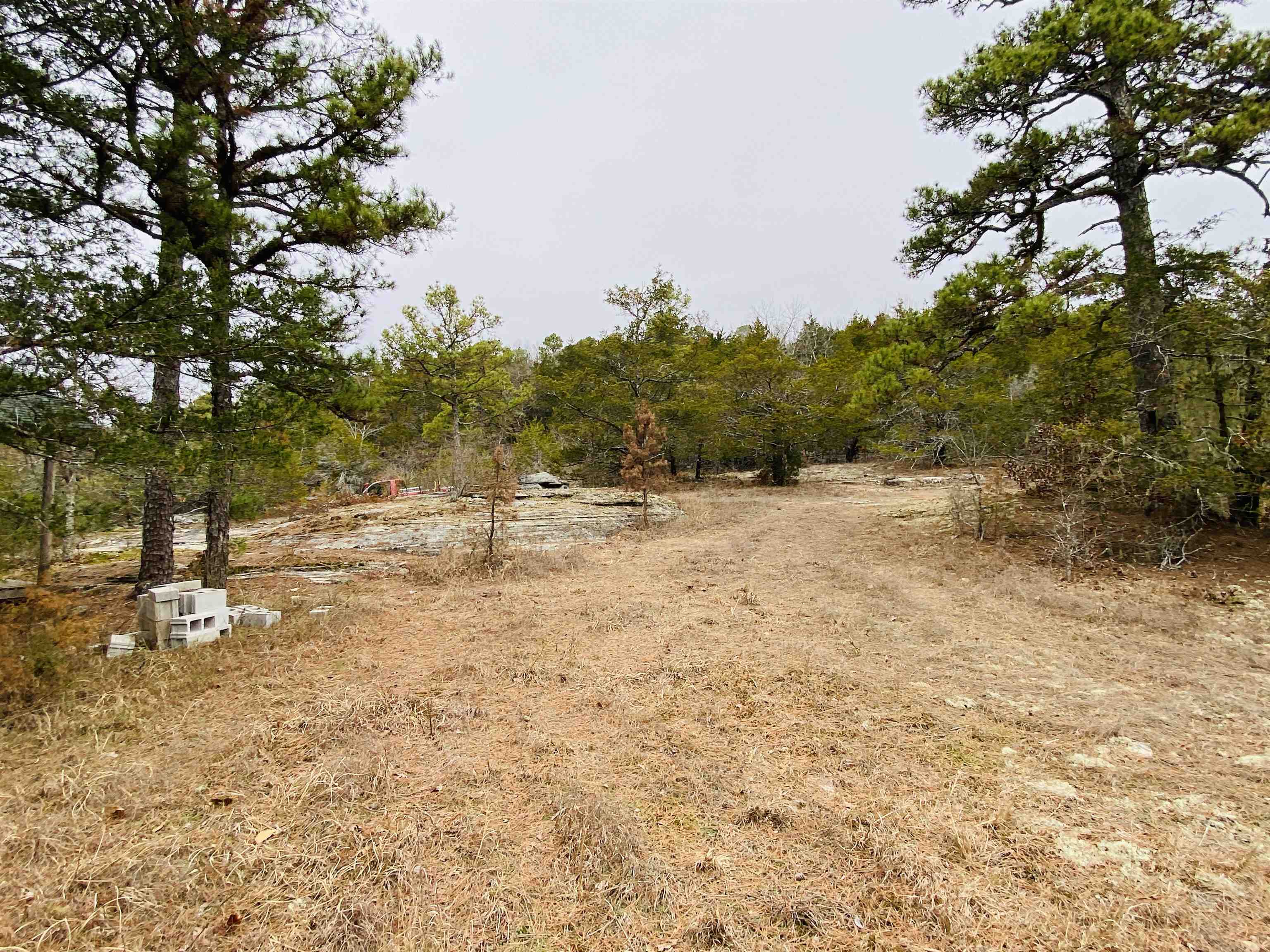 1019 Bartmess Road Calico Rock, AR 72519