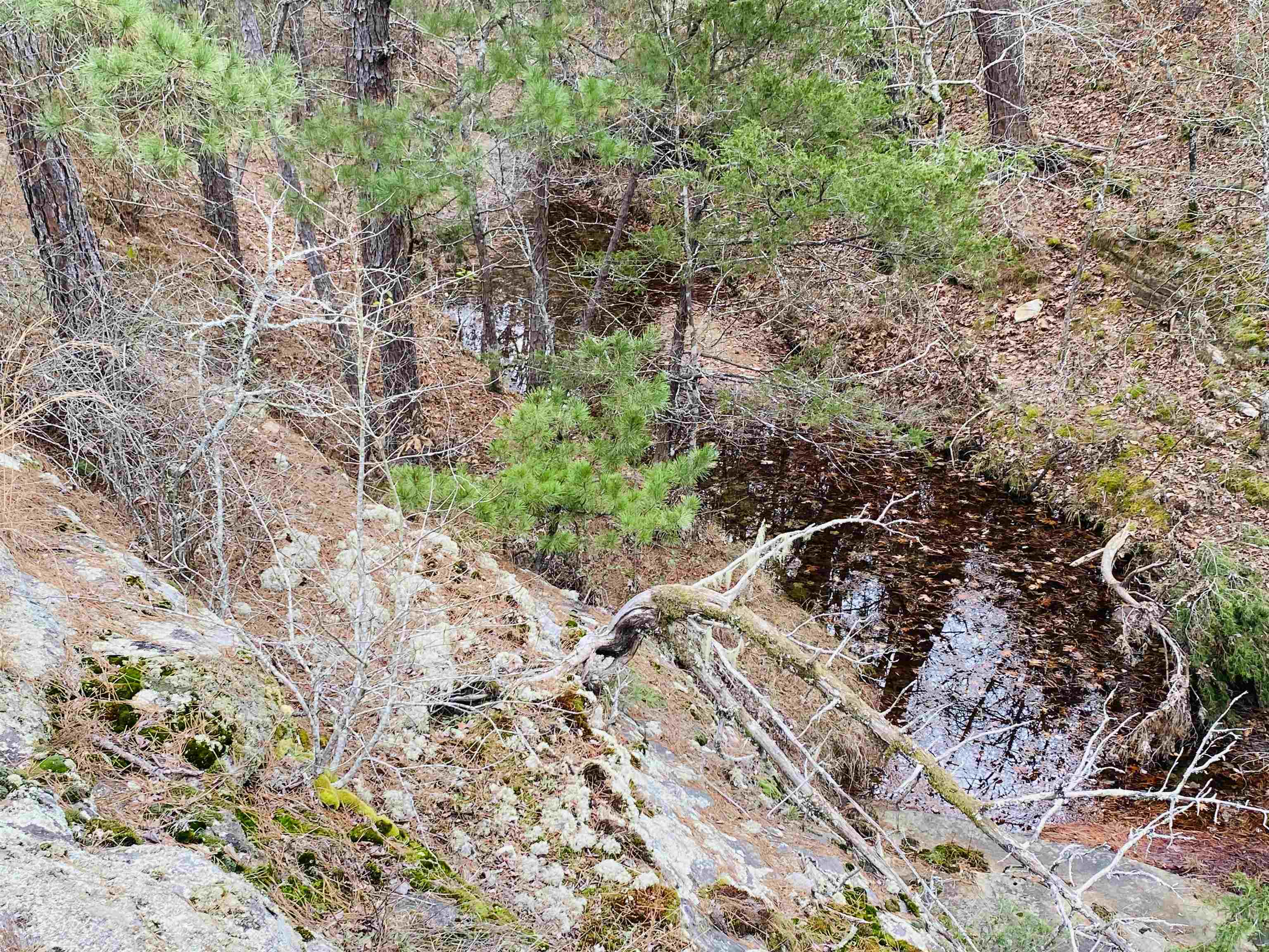 1019 Bartmess Road Calico Rock, AR 72519