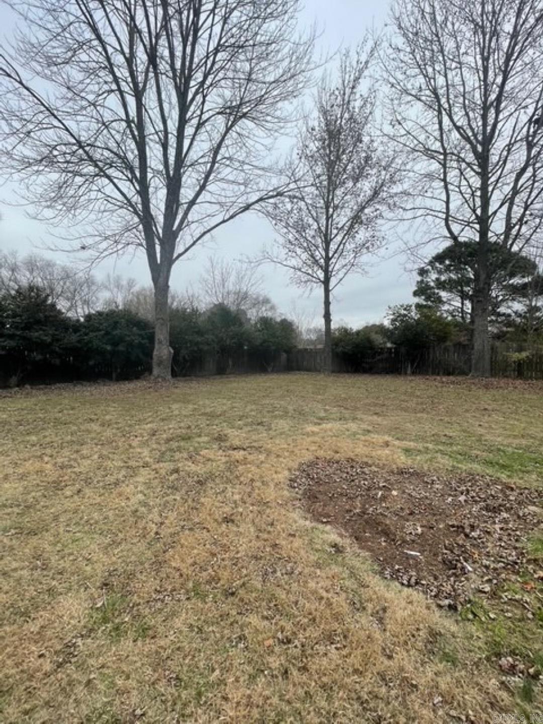 111 Eve Lane  Conway, AR