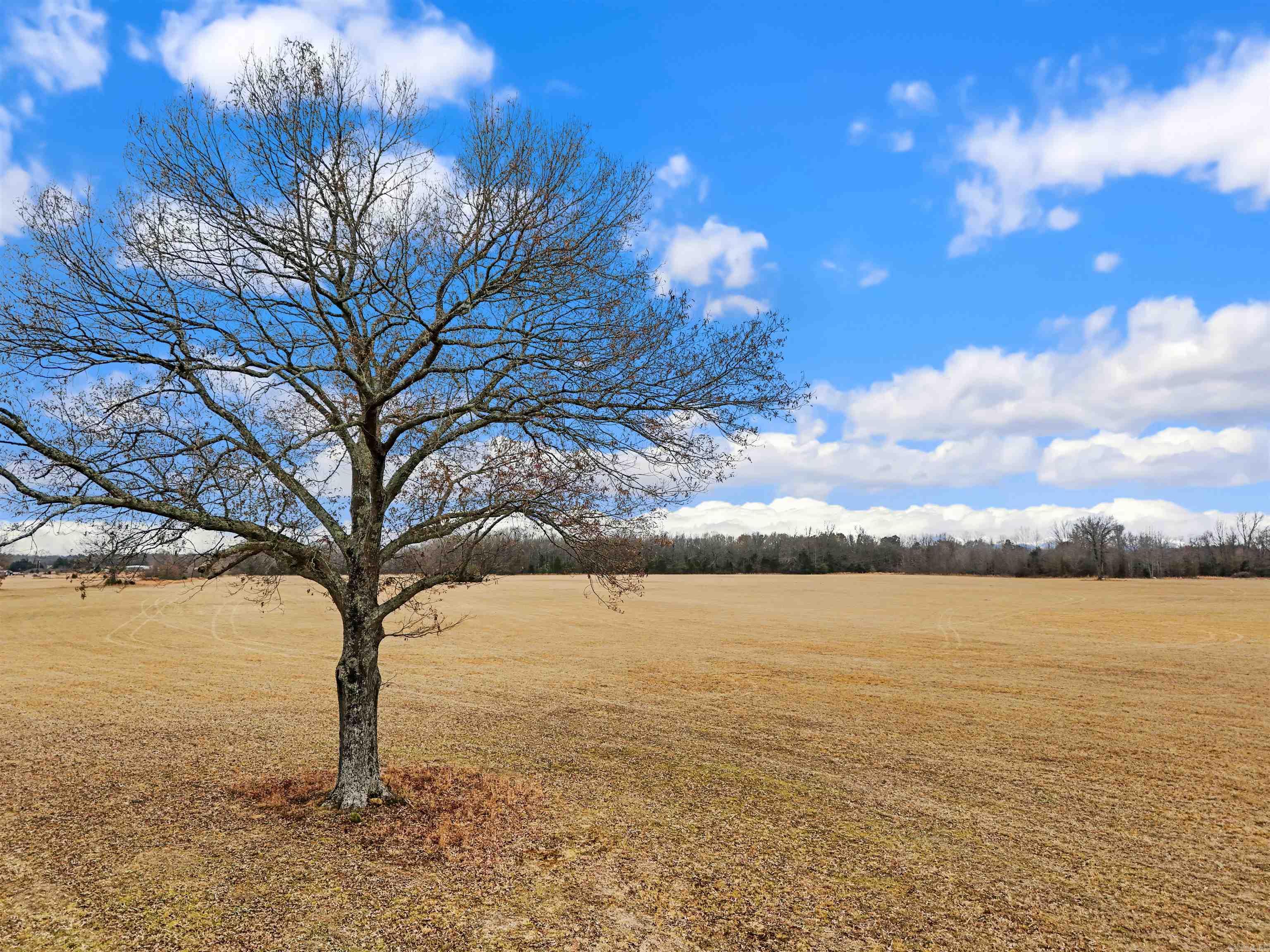 00 Panther Creek  Searcy, AR