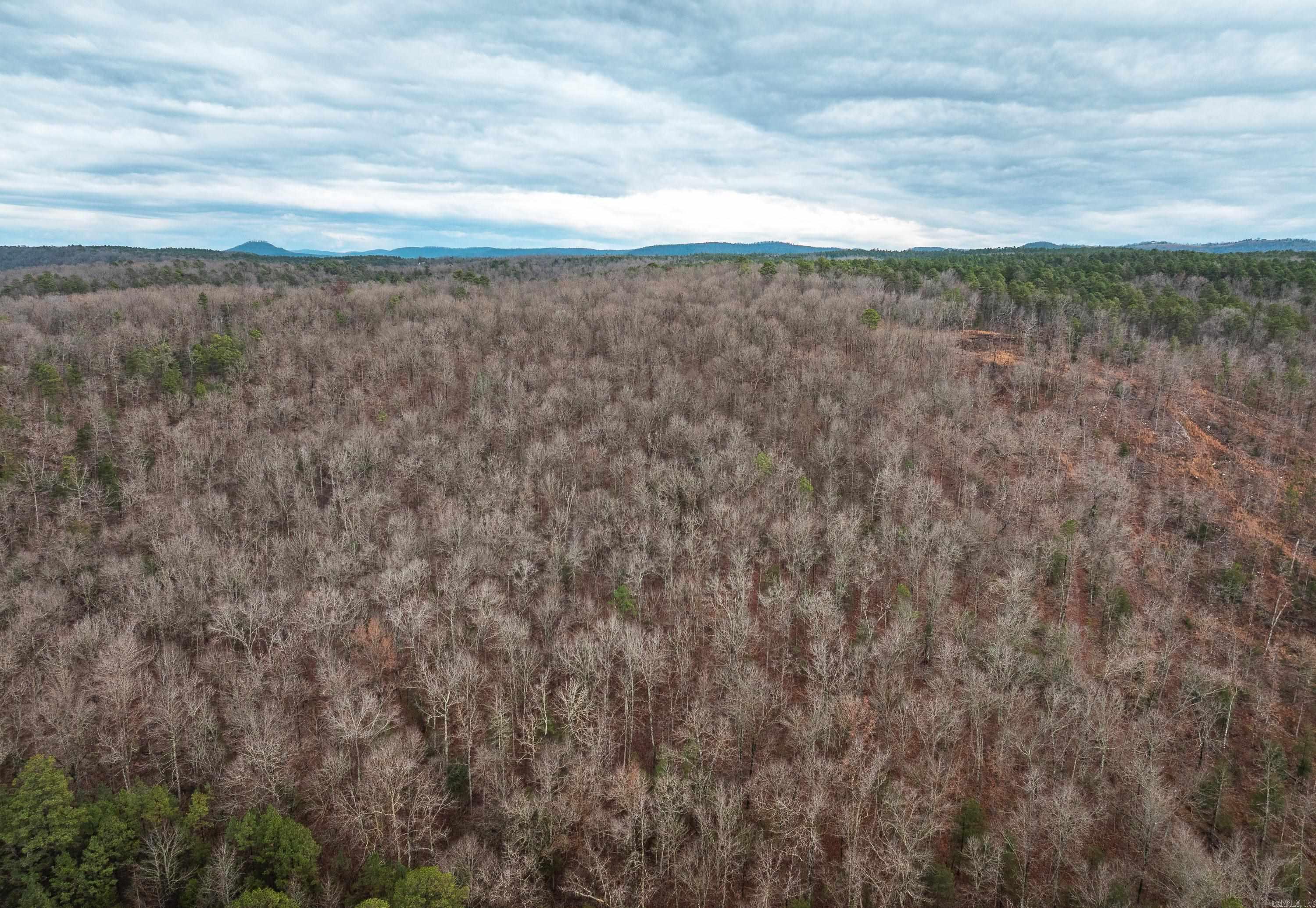 1245 CR 124  Calico Rock, AR