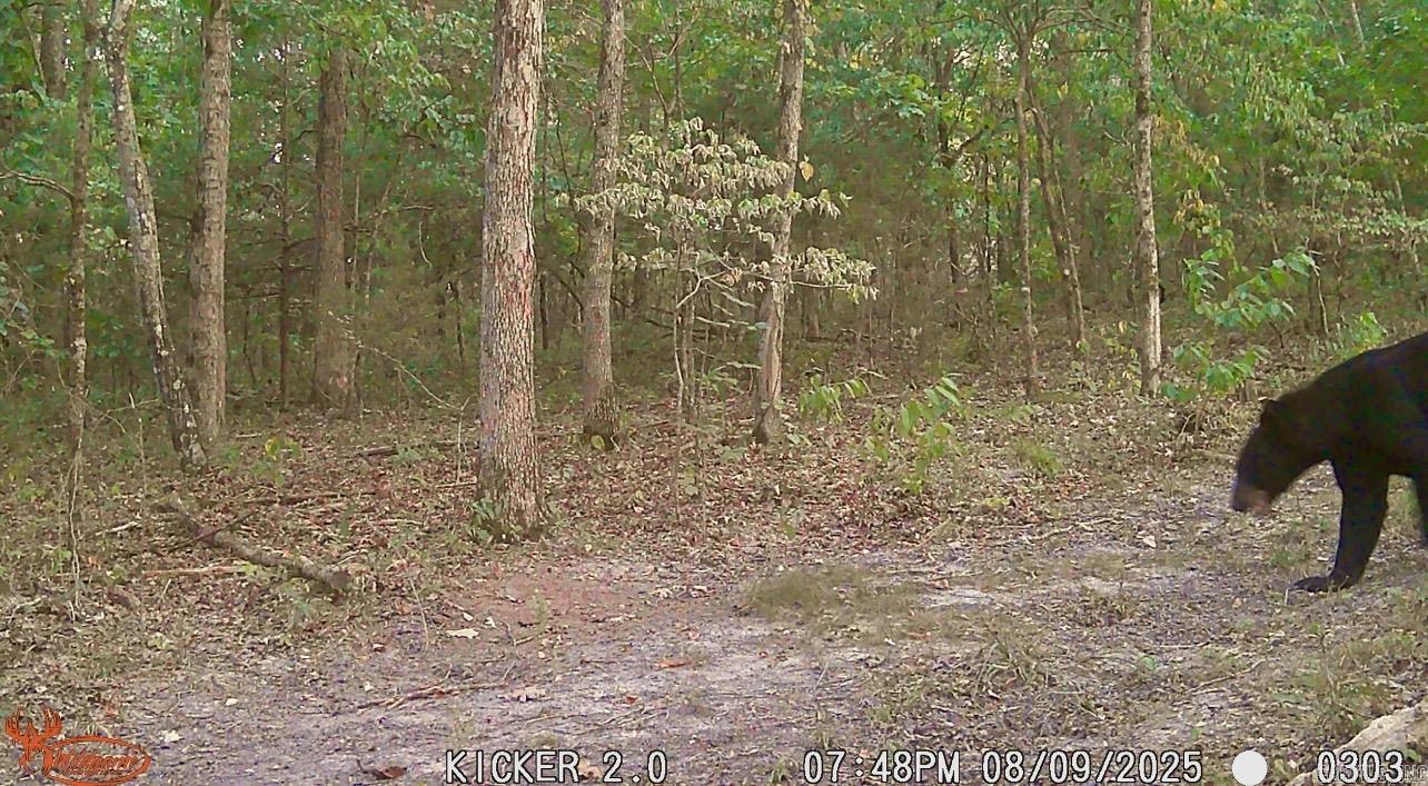 1245 CR 124  Calico Rock, AR