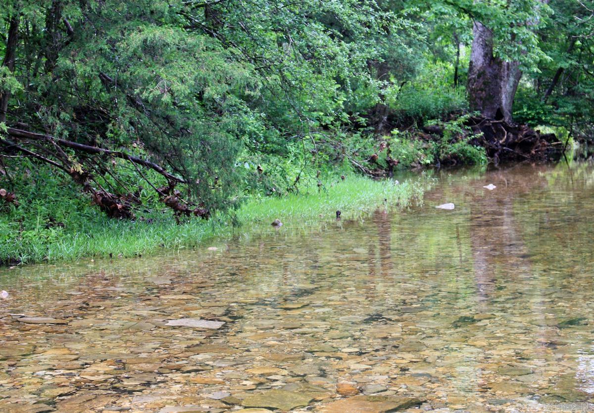 1245 CR 124  Calico Rock, AR