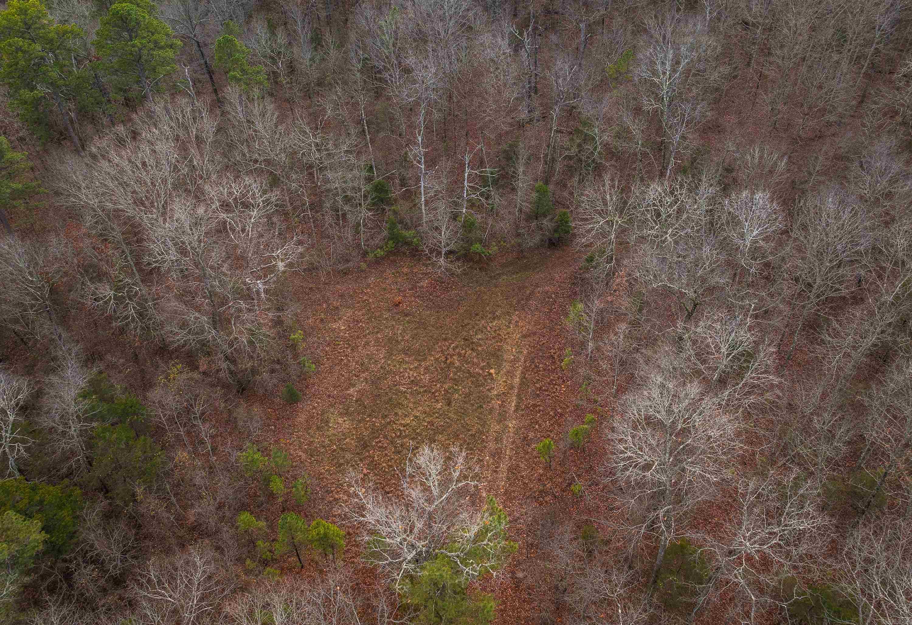1245 CR 124  Calico Rock, AR