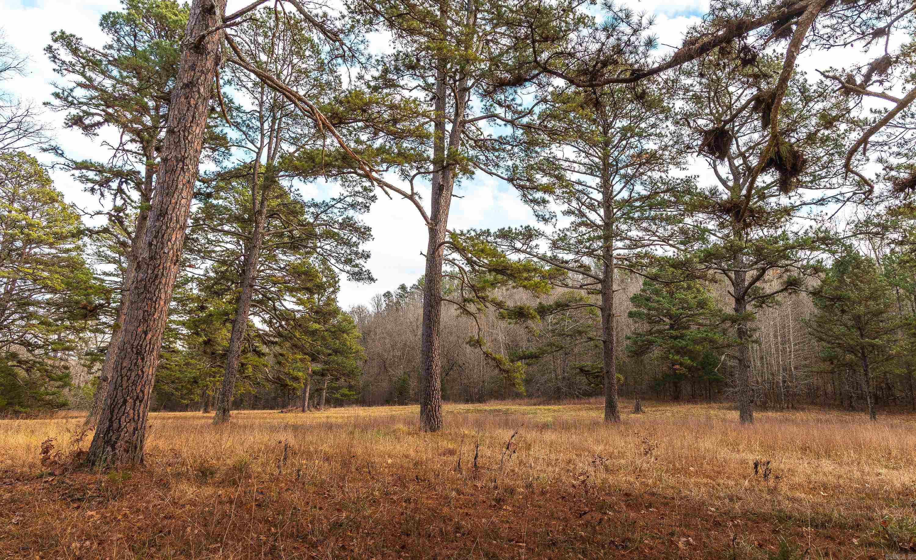 1245 CR 124  Calico Rock, AR