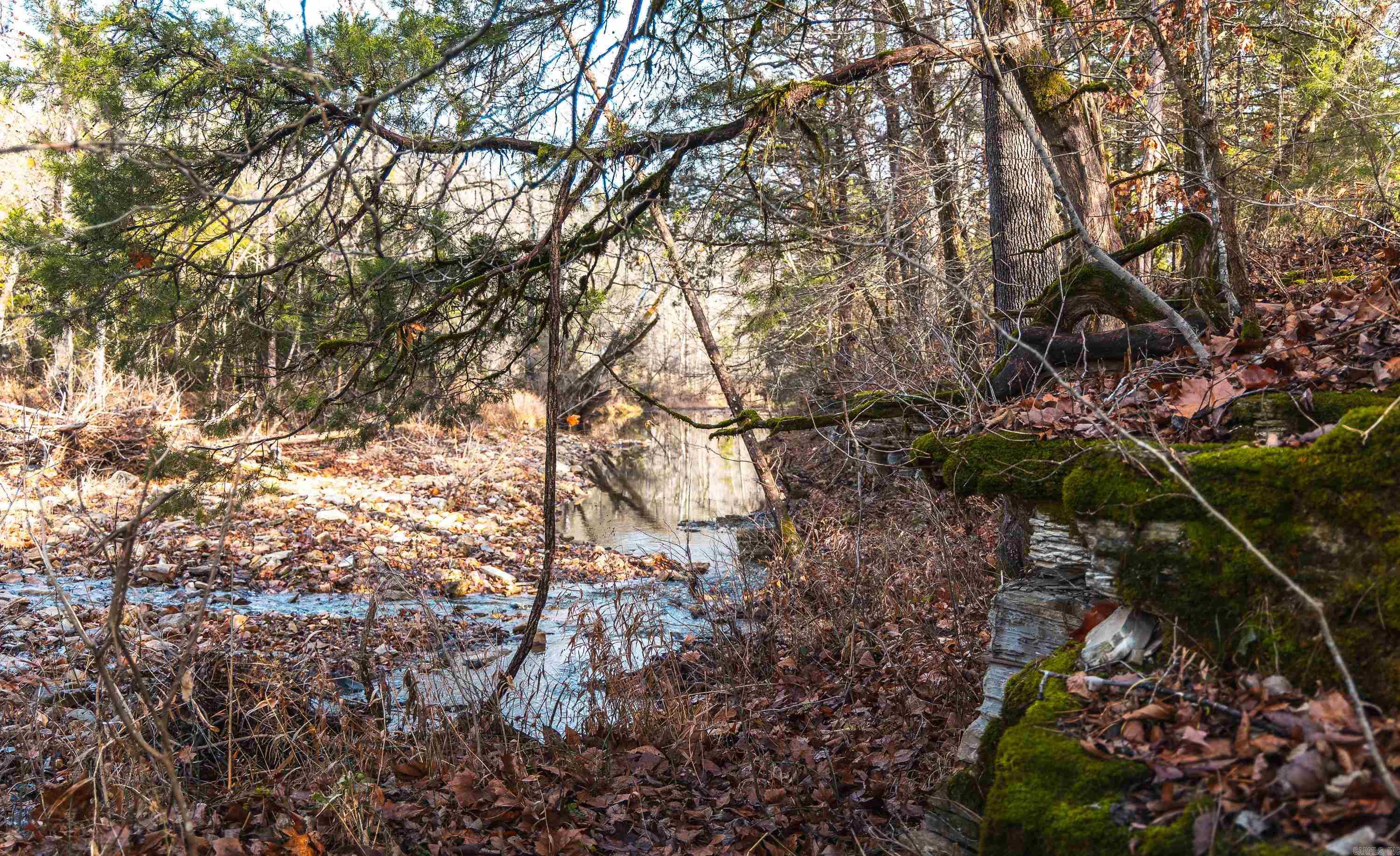 1245 CR 124  Calico Rock, AR