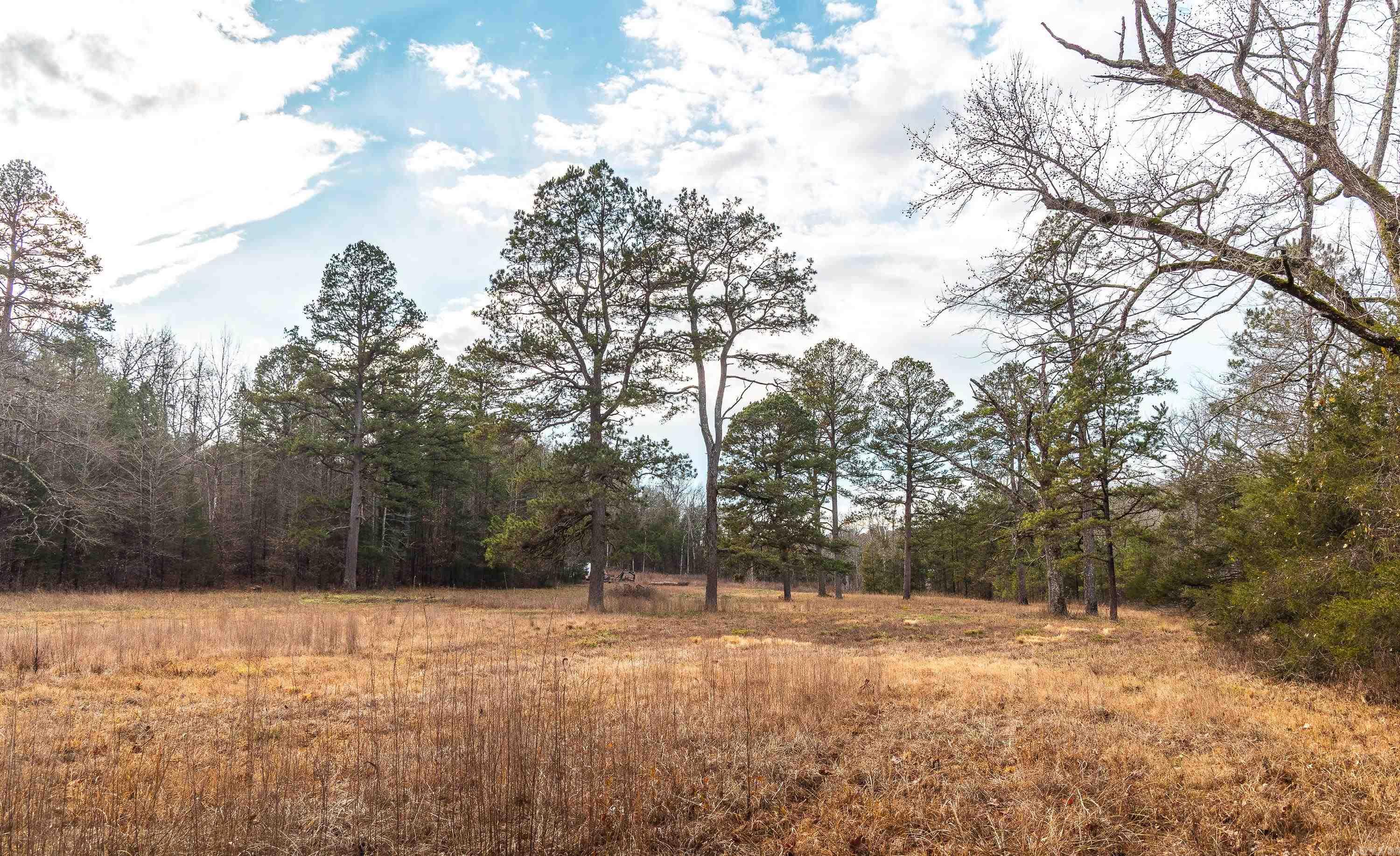 1245 CR 124  Calico Rock, AR