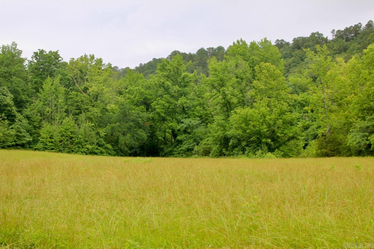1245 CR 124  Calico Rock, AR