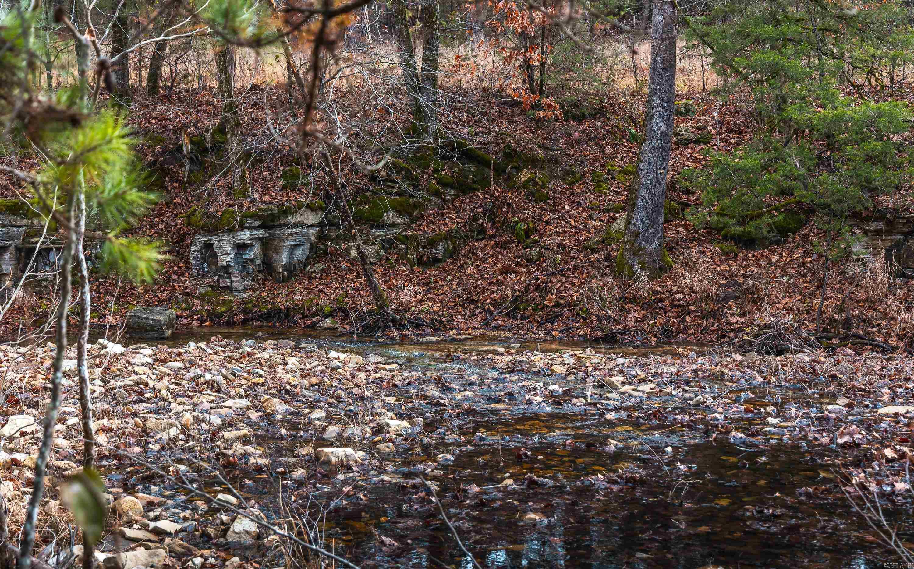 1245 CR 124  Calico Rock, AR