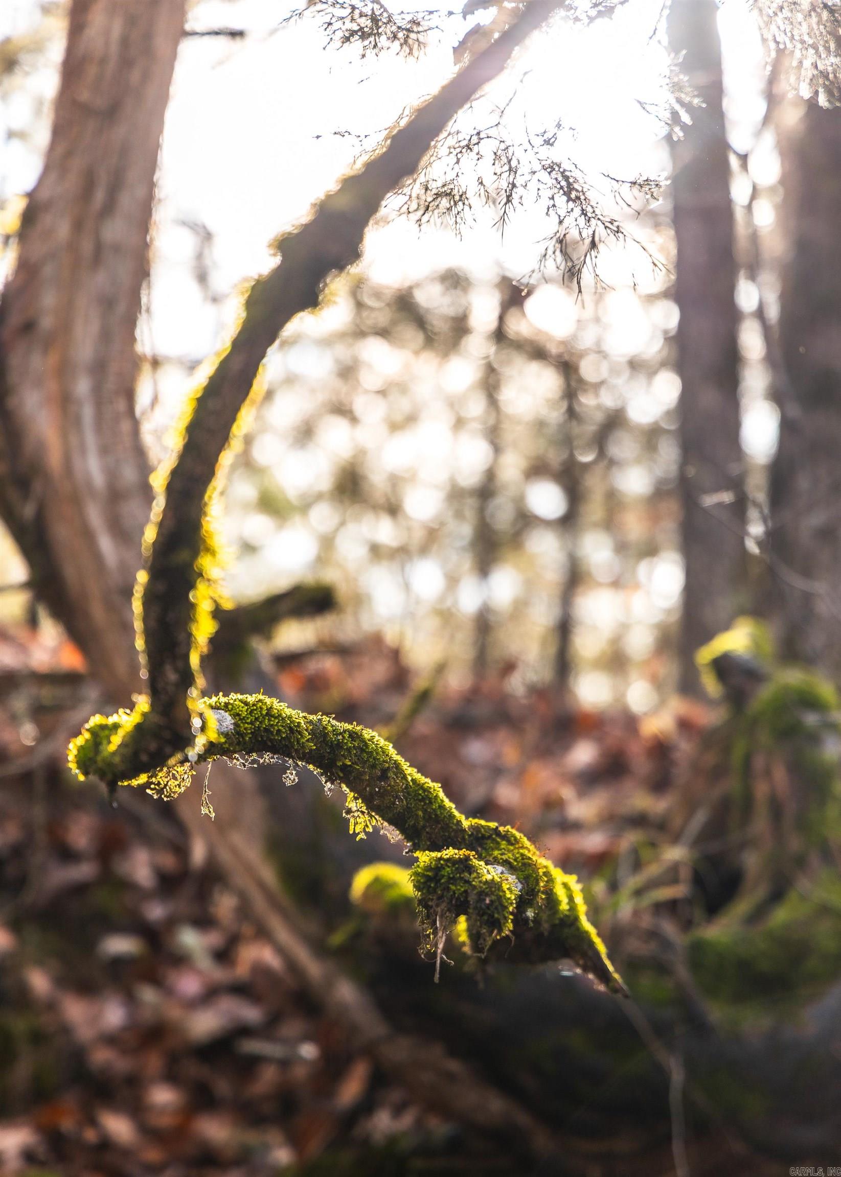 1245 CR 124  Calico Rock, AR