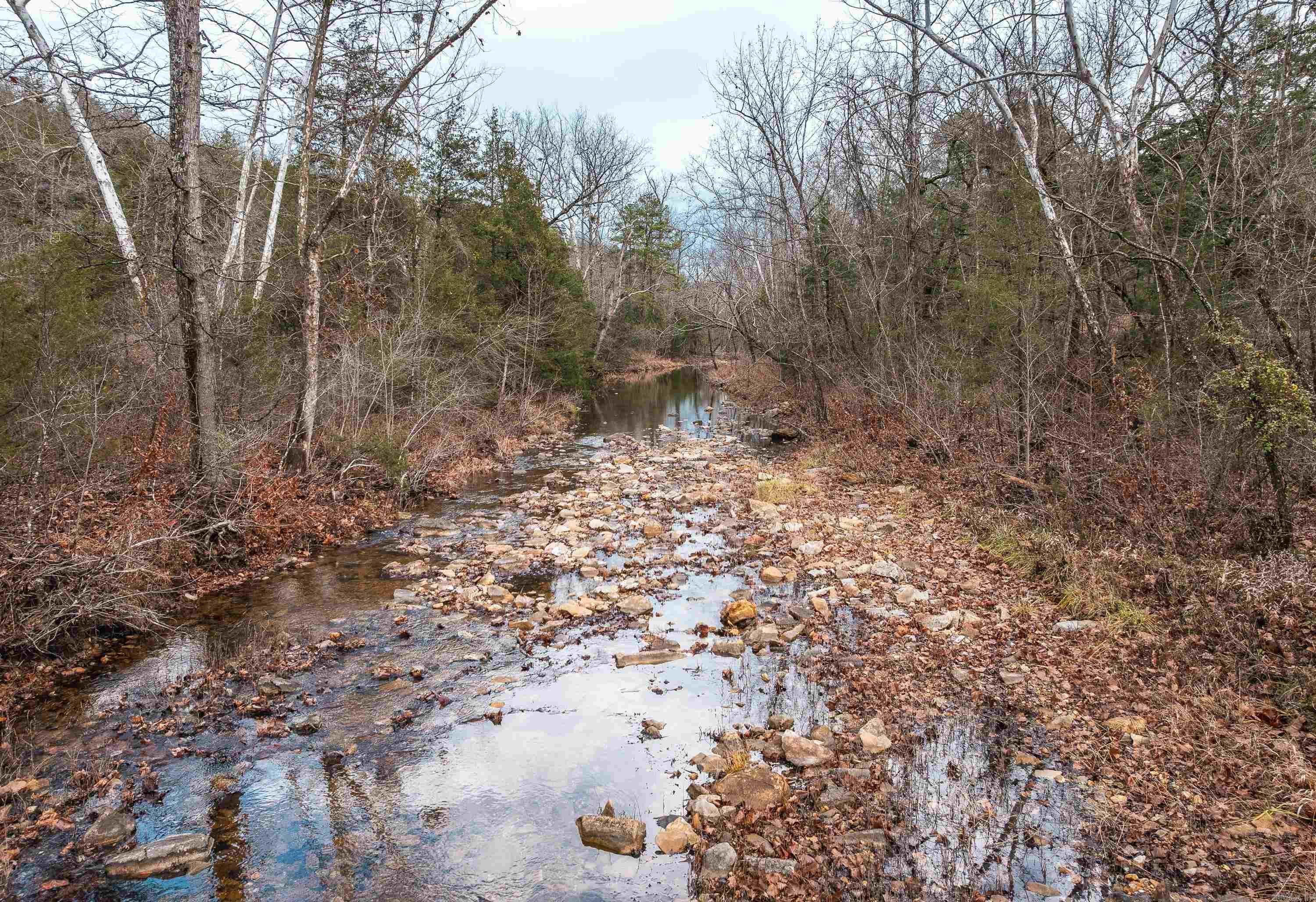 1245 CR 124  Calico Rock, AR