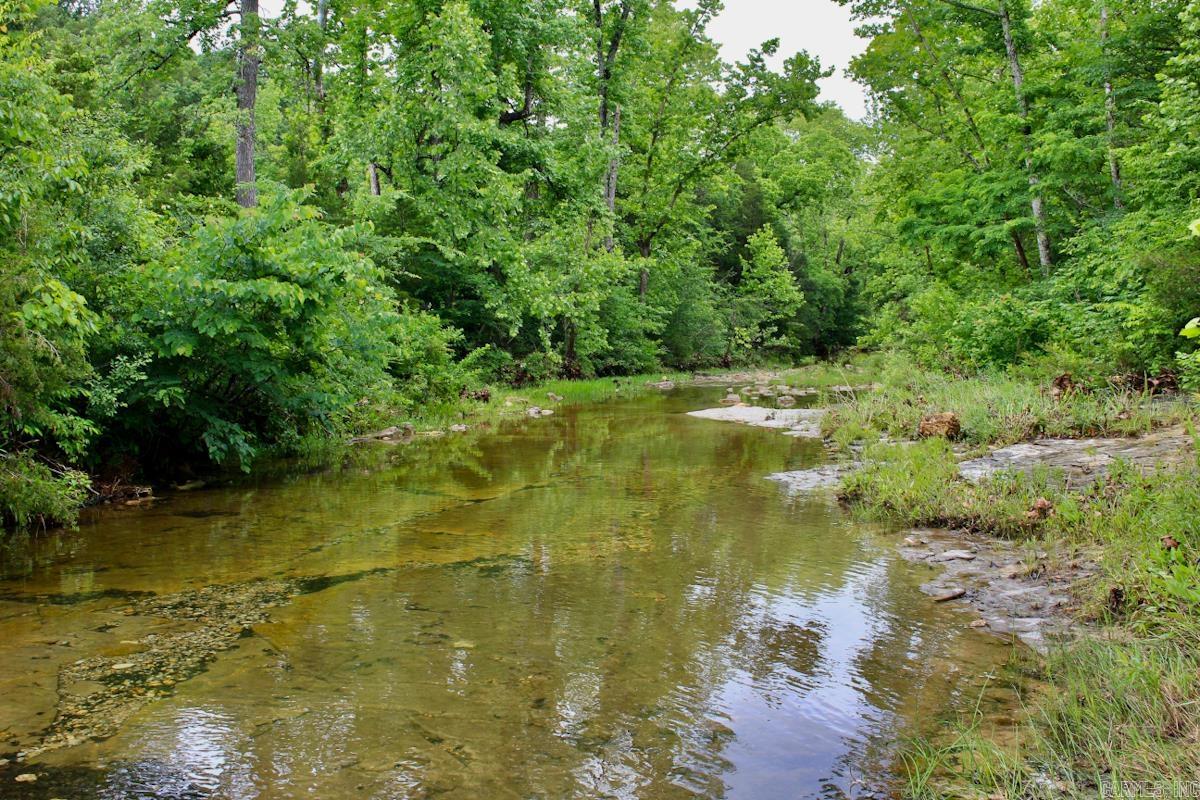1245 CR 124  Calico Rock, AR