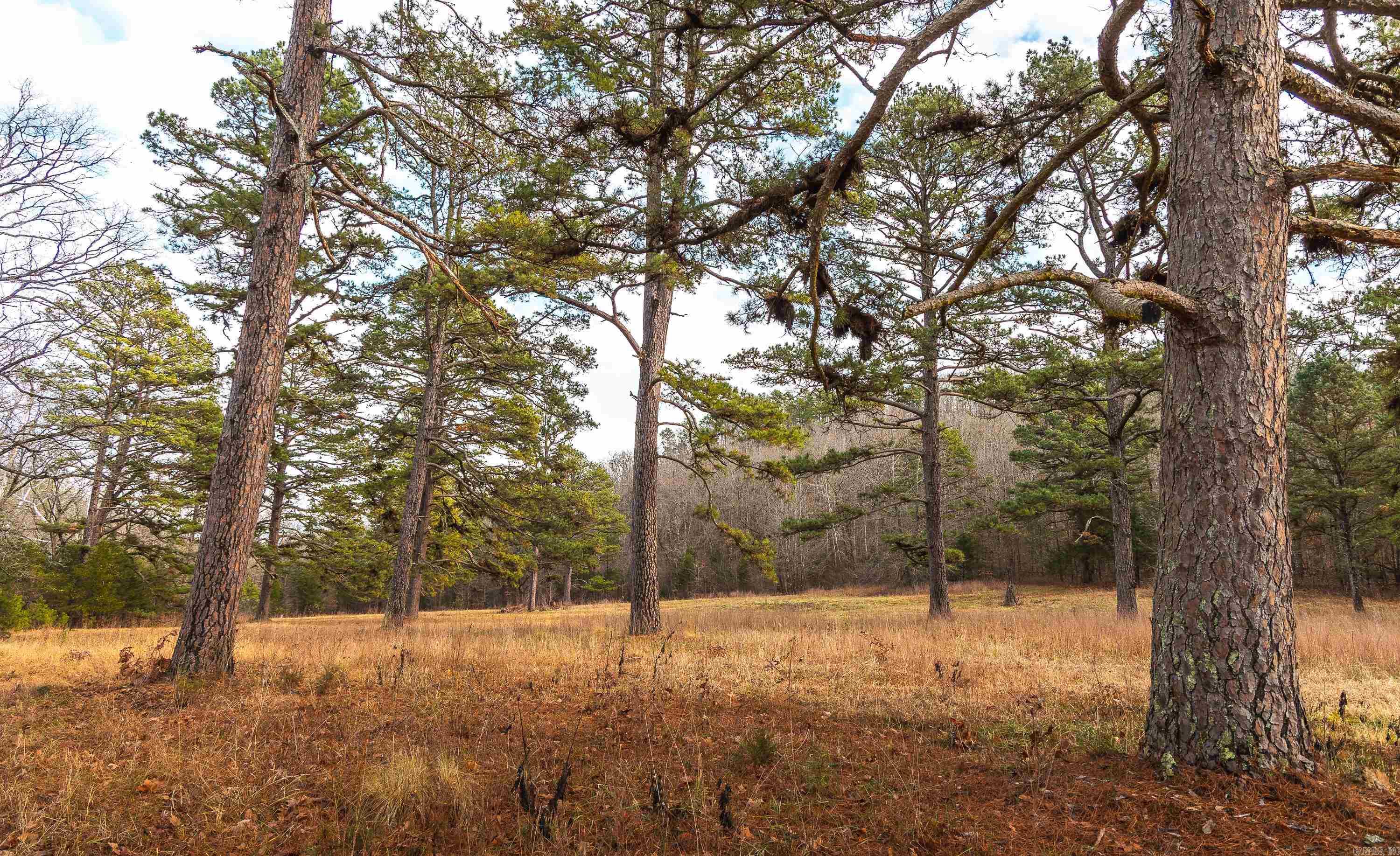 1245 CR 124  Calico Rock, AR