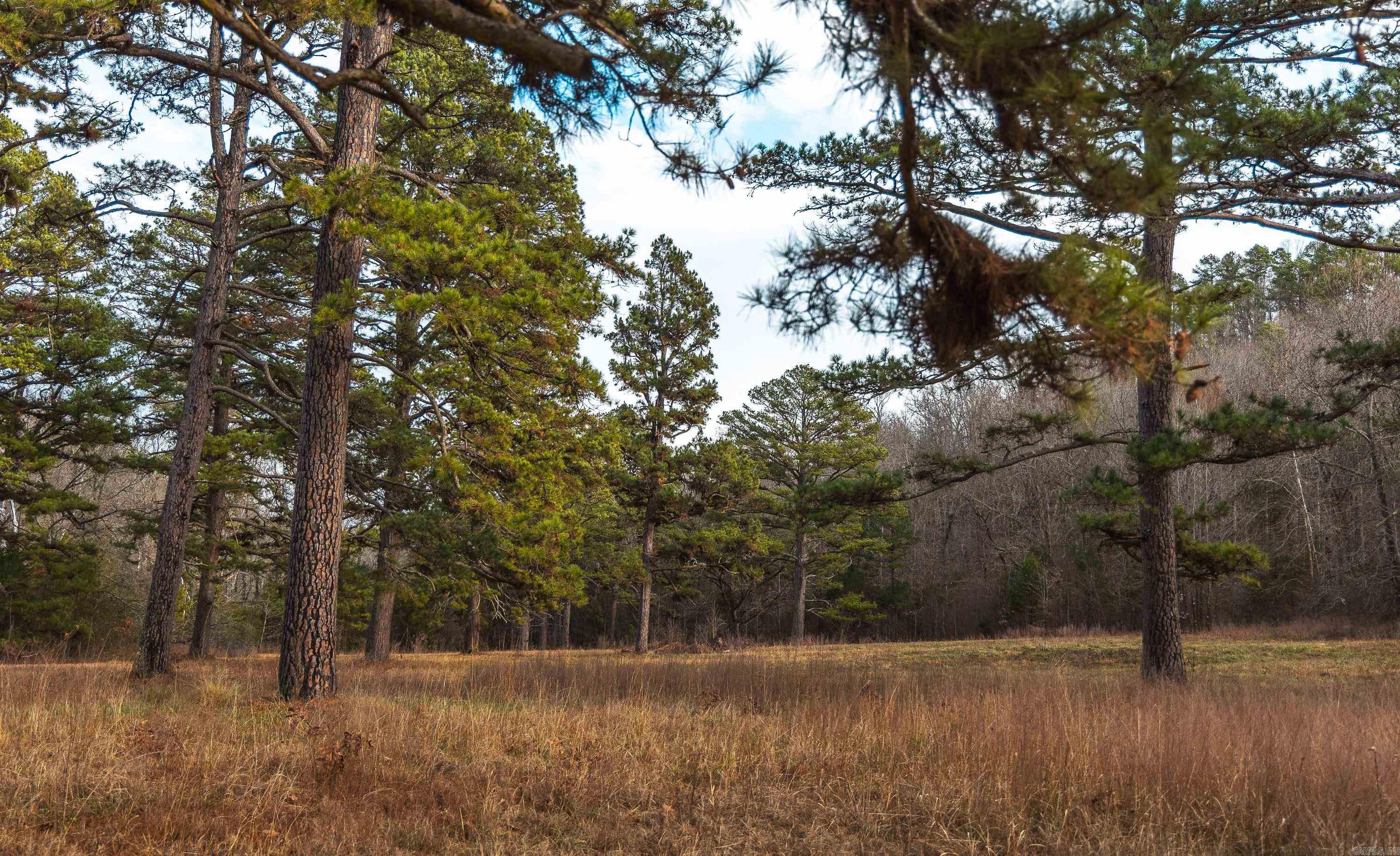 1245 CR 124  Calico Rock, AR