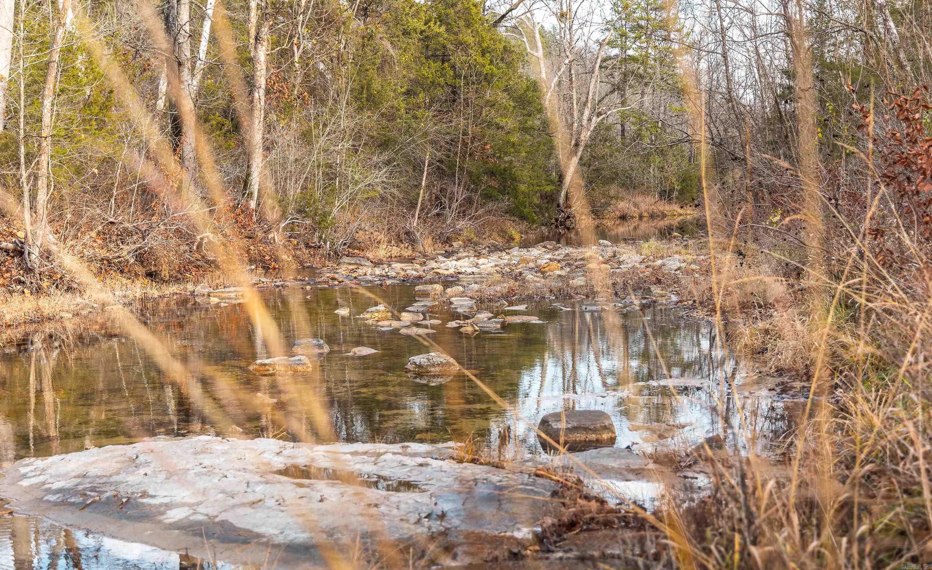 1245 CR 124  Calico Rock, AR