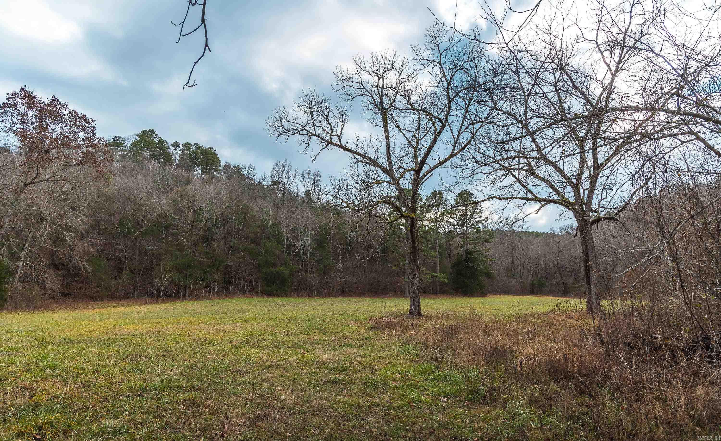 1245 CR 124  Calico Rock, AR