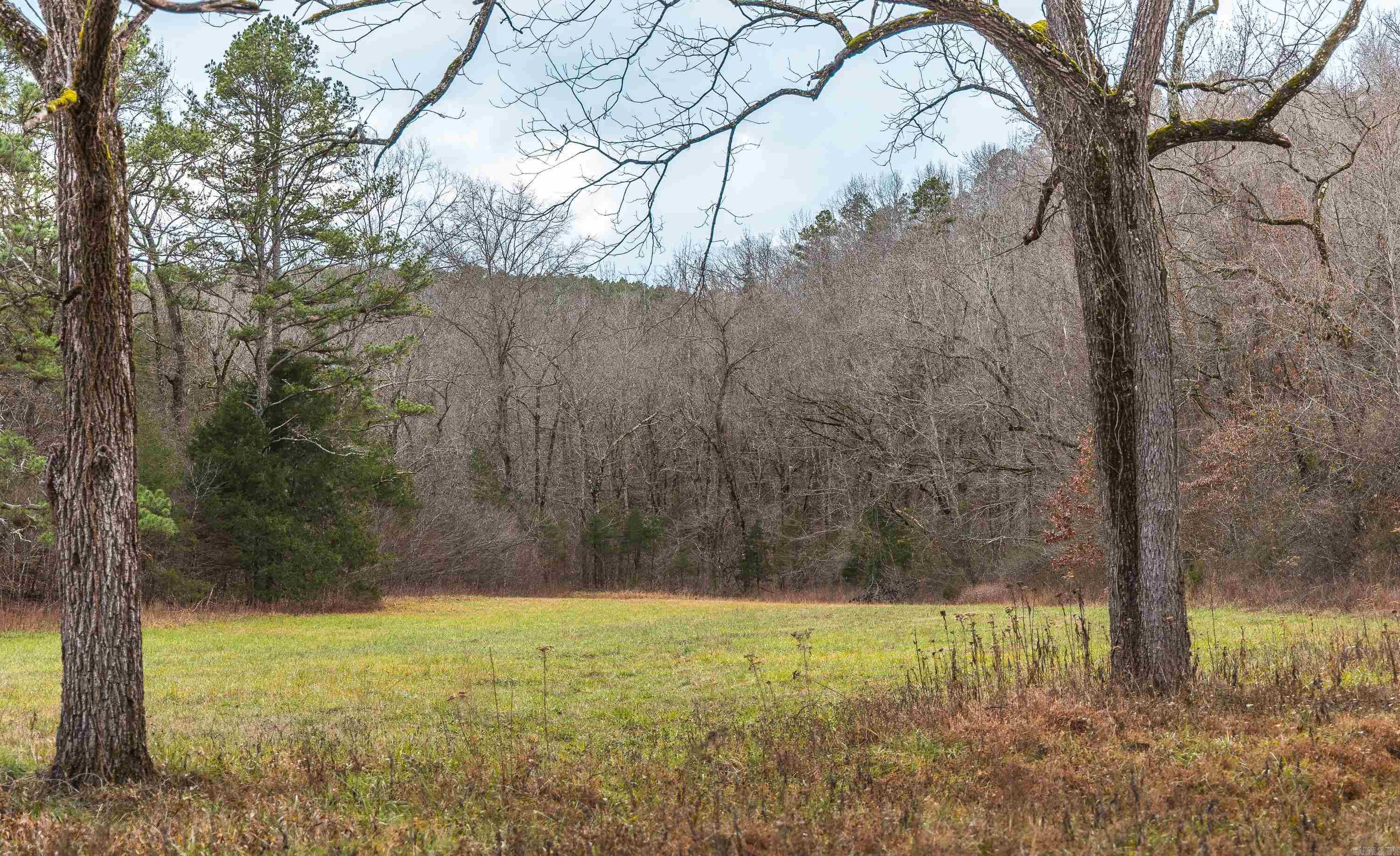1245 CR 124  Calico Rock, AR