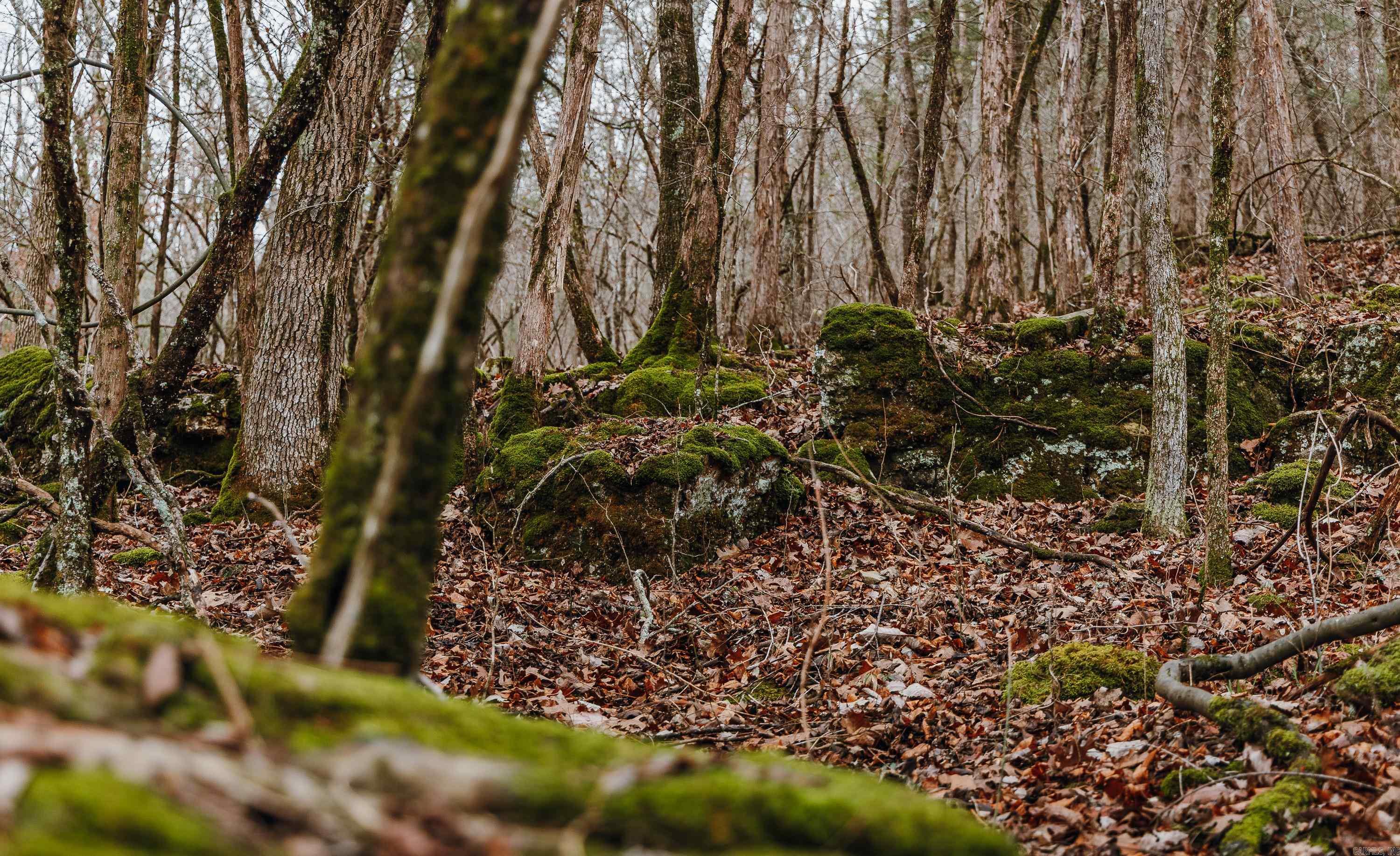 1245 CR 124  Calico Rock, AR