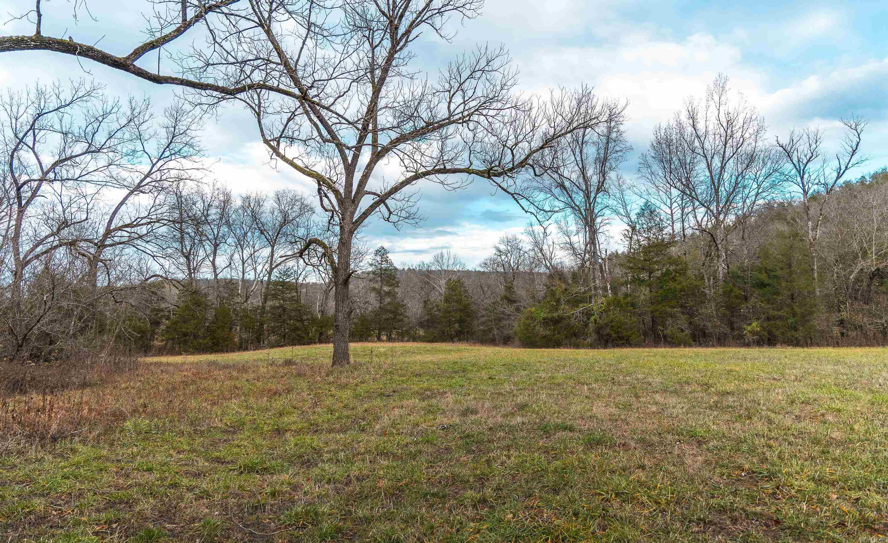 1245 CR 124  Calico Rock, AR