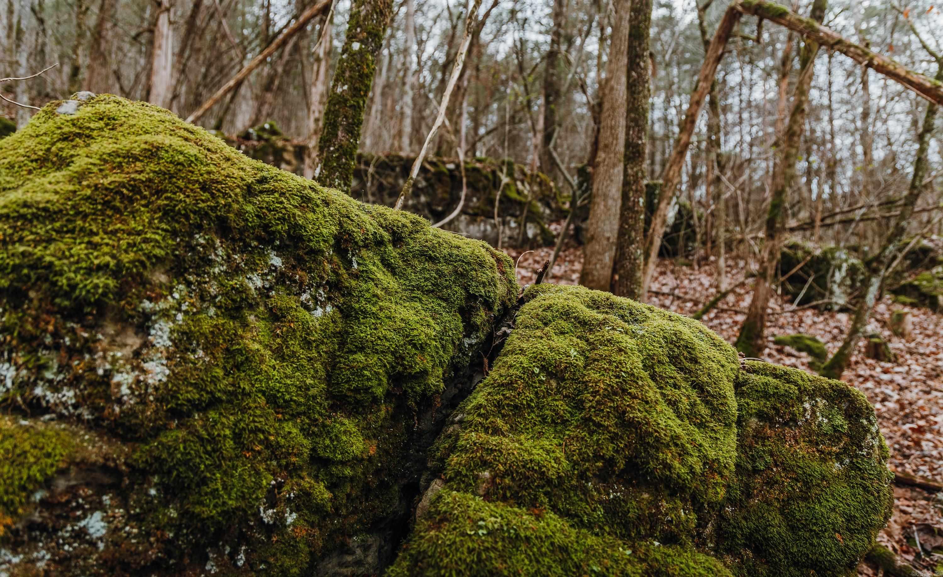 1245 CR 124  Calico Rock, AR