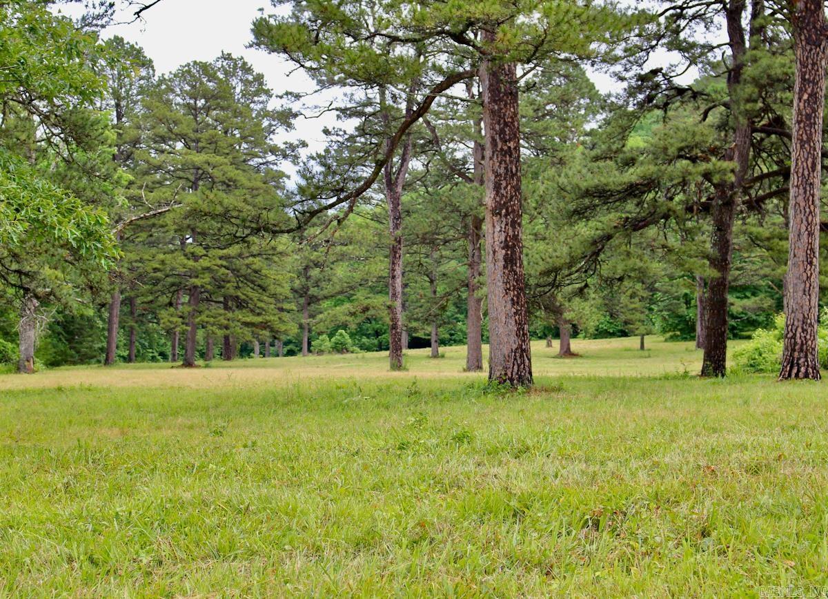 1245 CR 124  Calico Rock, AR