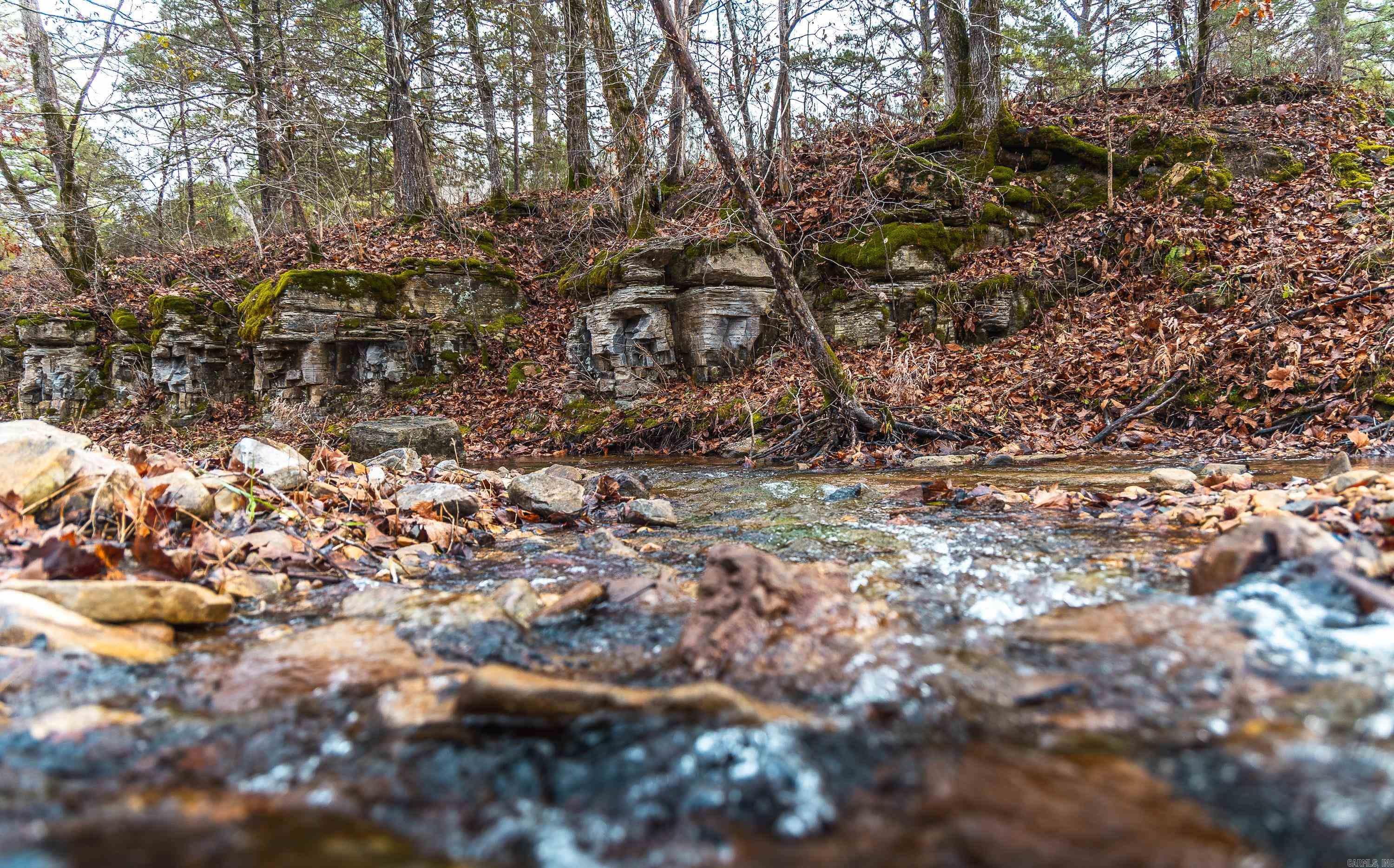 1245 CR 124  Calico Rock, AR