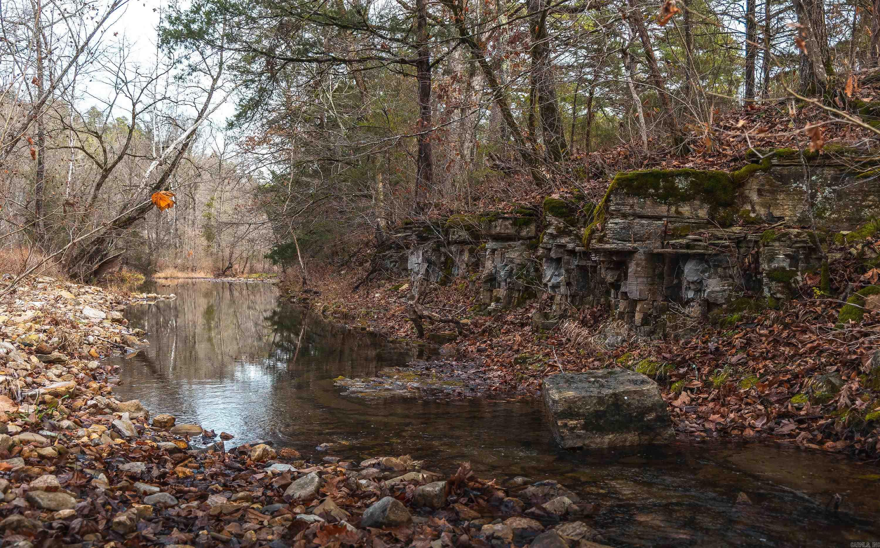 1245 CR 124  Calico Rock, AR