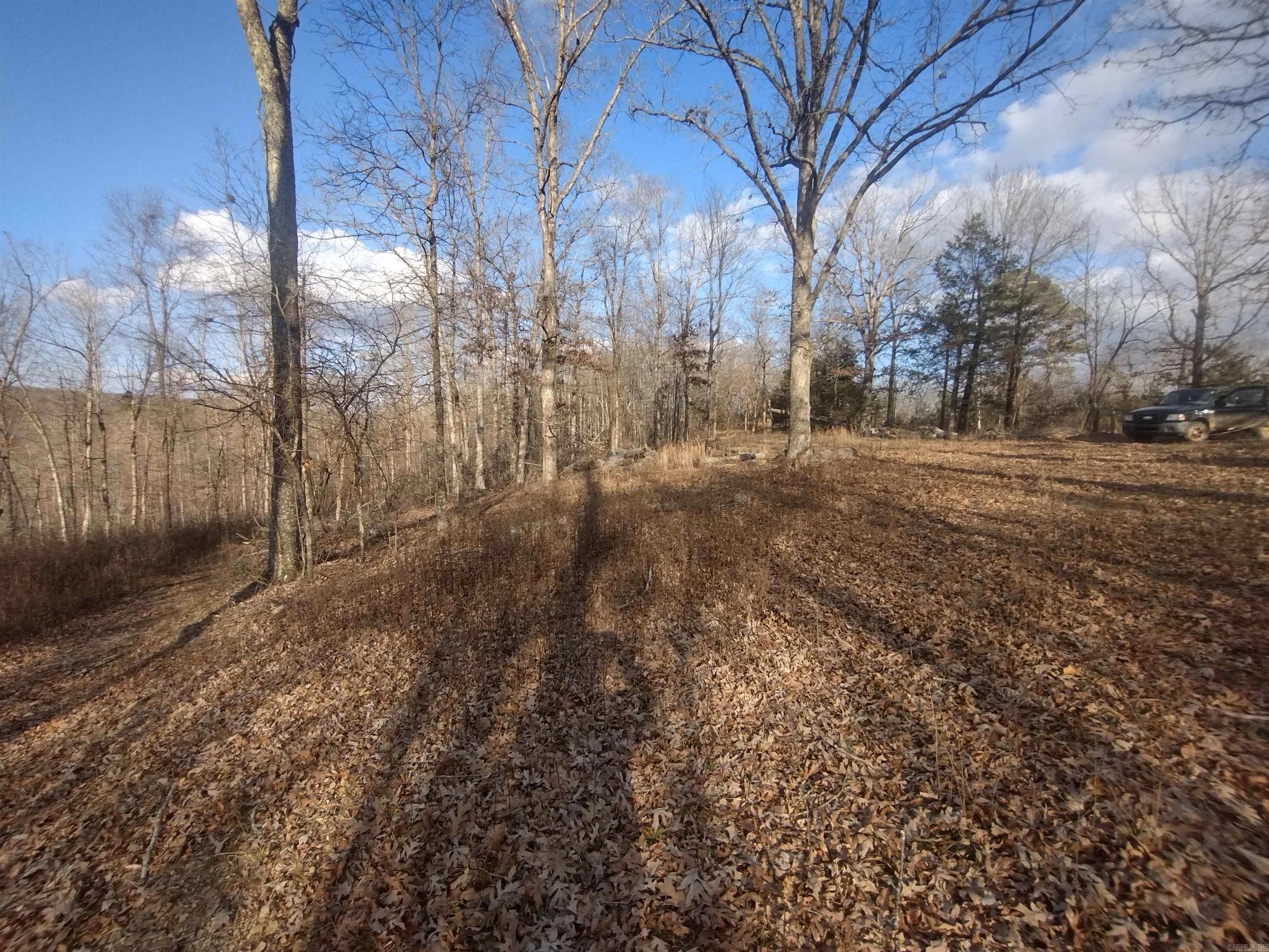 140 Brushy Creek rd  Mountain View, AR