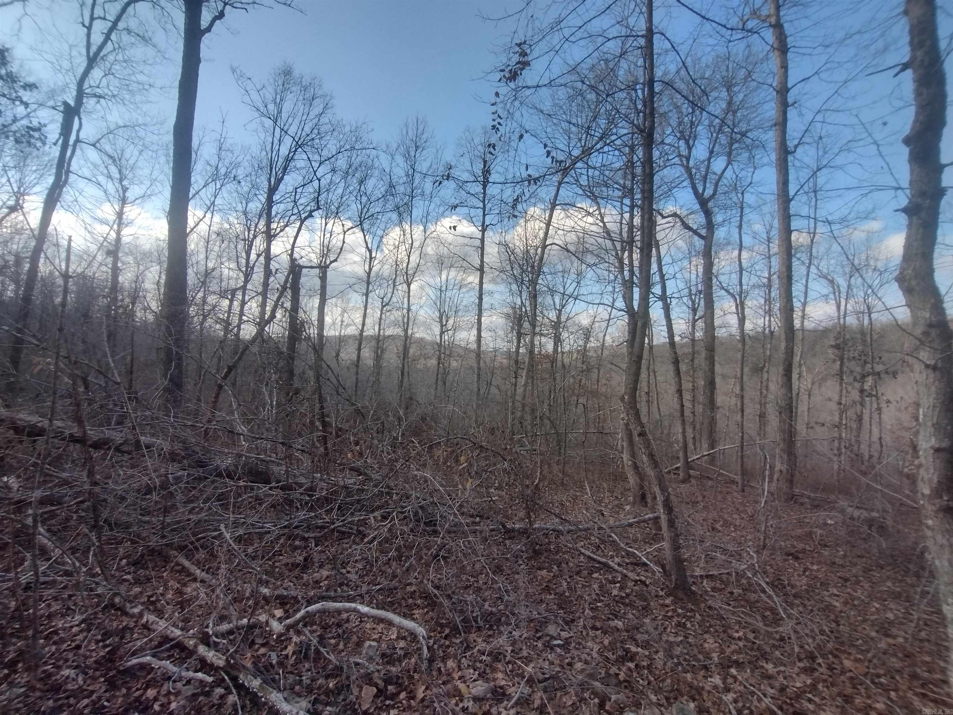 140 Brushy Creek rd  Mountain View, AR