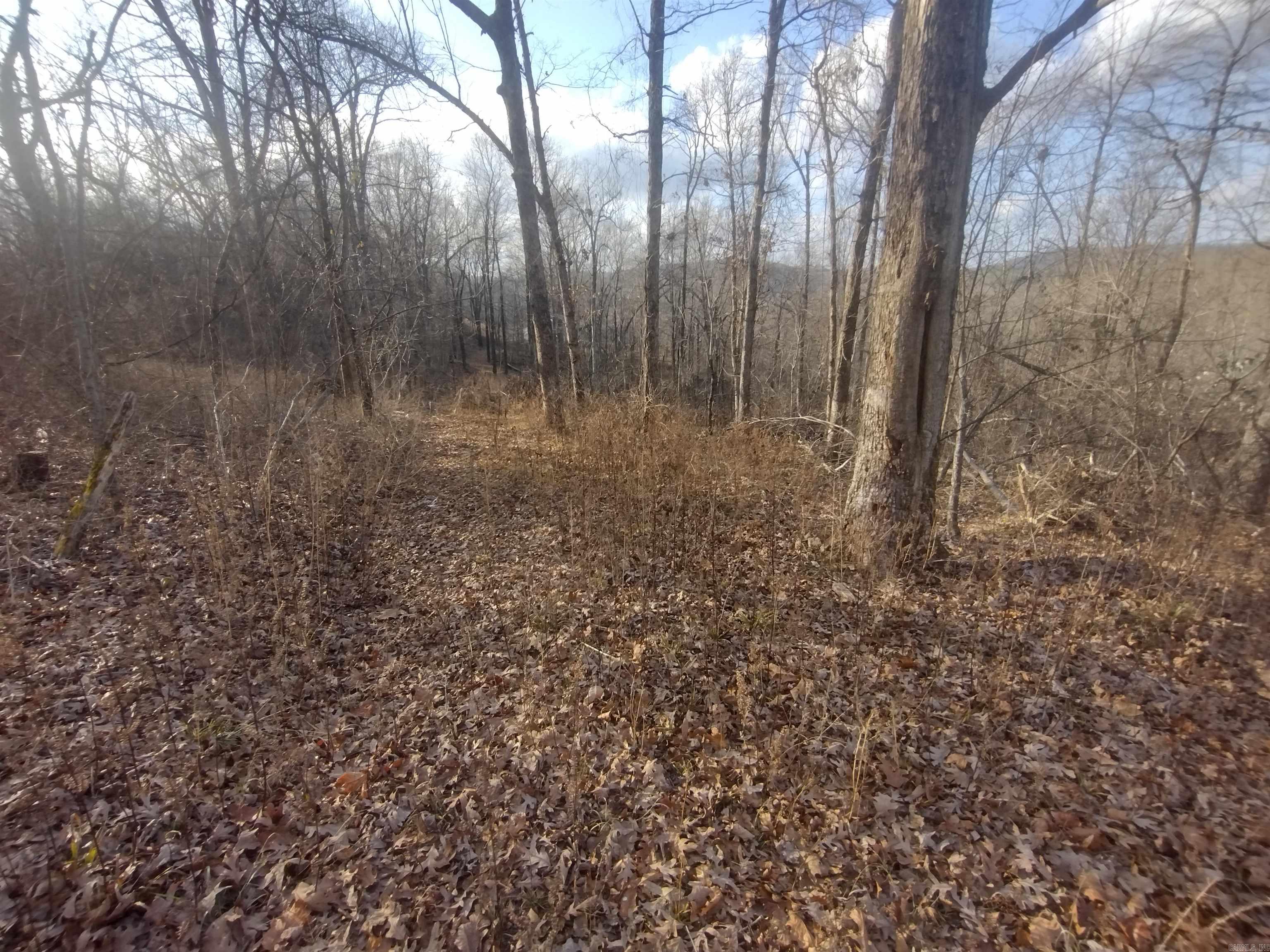 140 Brushy Creek rd  Mountain View, AR