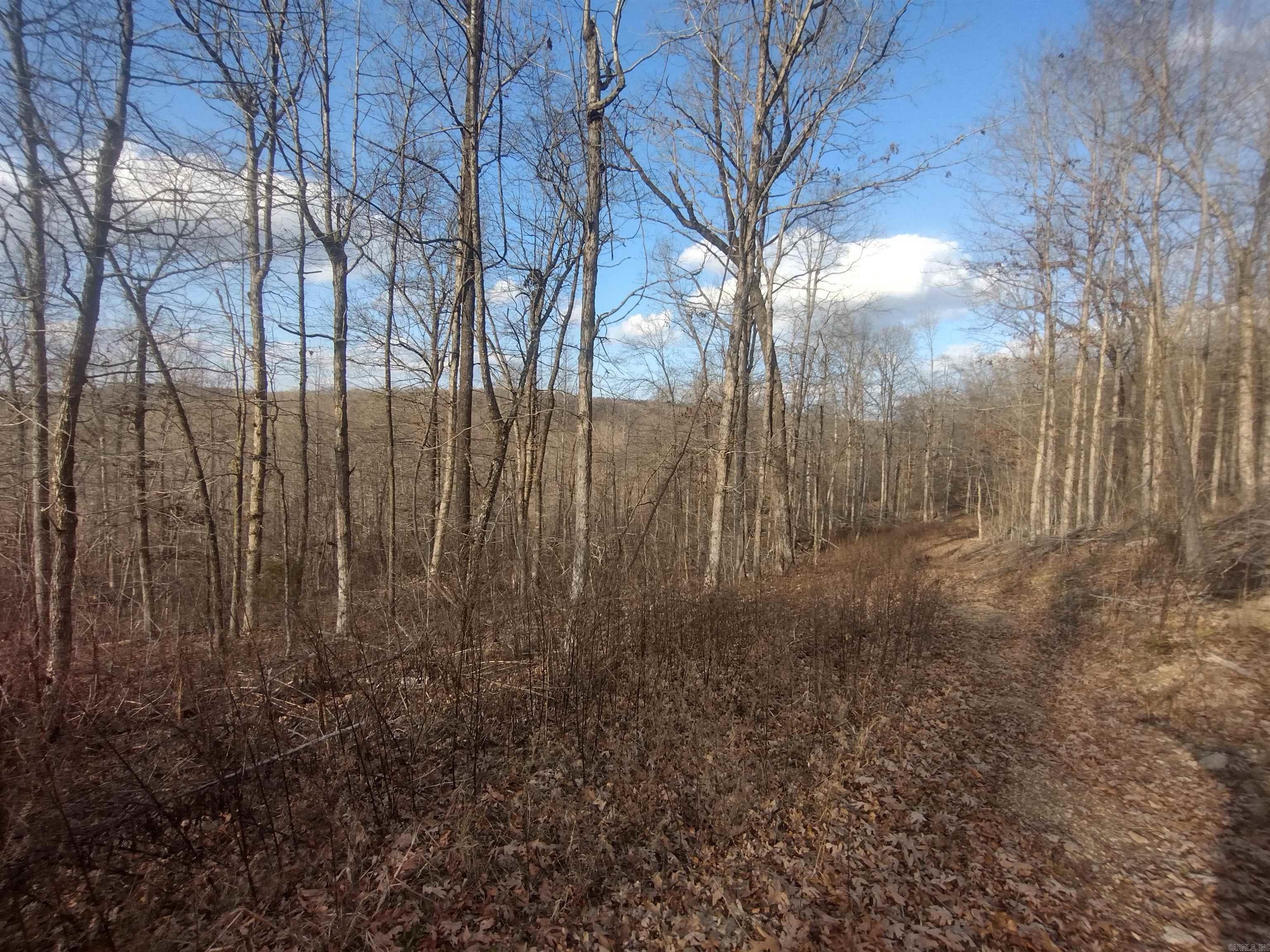 140 Brushy Creek rd  Mountain View, AR