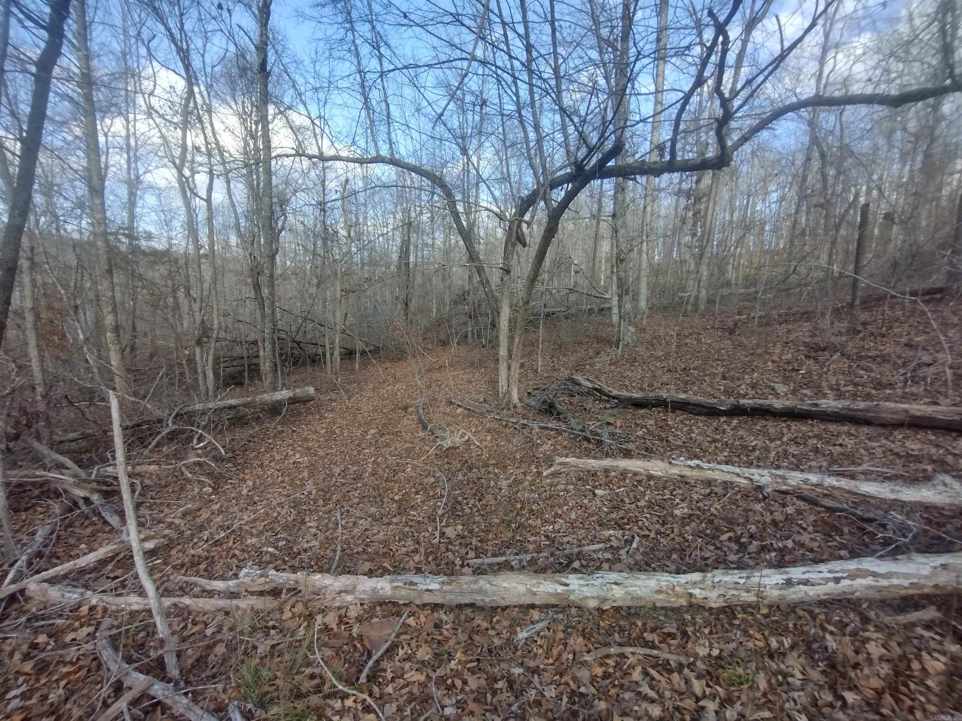 140 Brushy Creek rd  Mountain View, AR