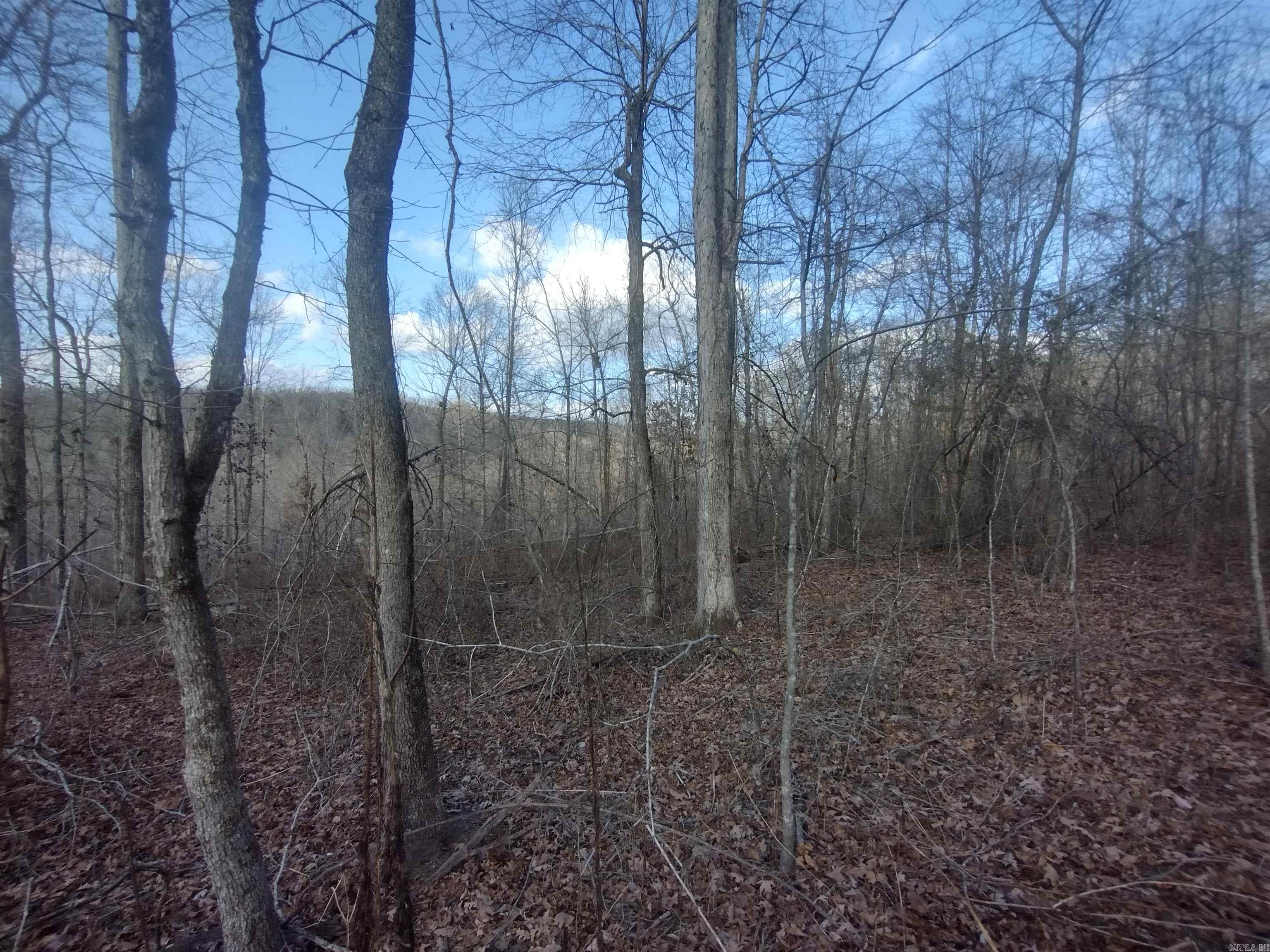 140 Brushy Creek rd  Mountain View, AR