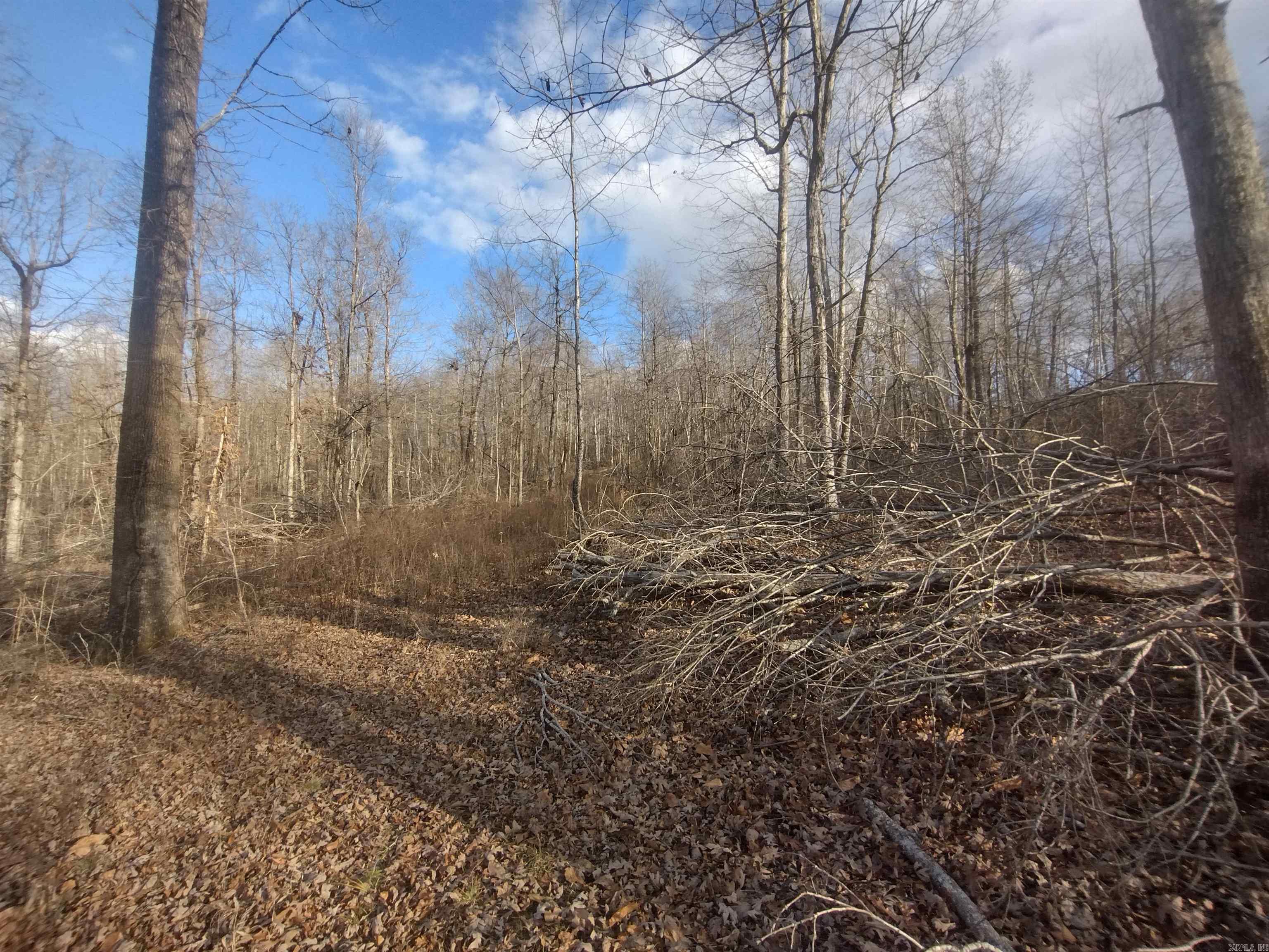 140 Brushy Creek rd  Mountain View, AR