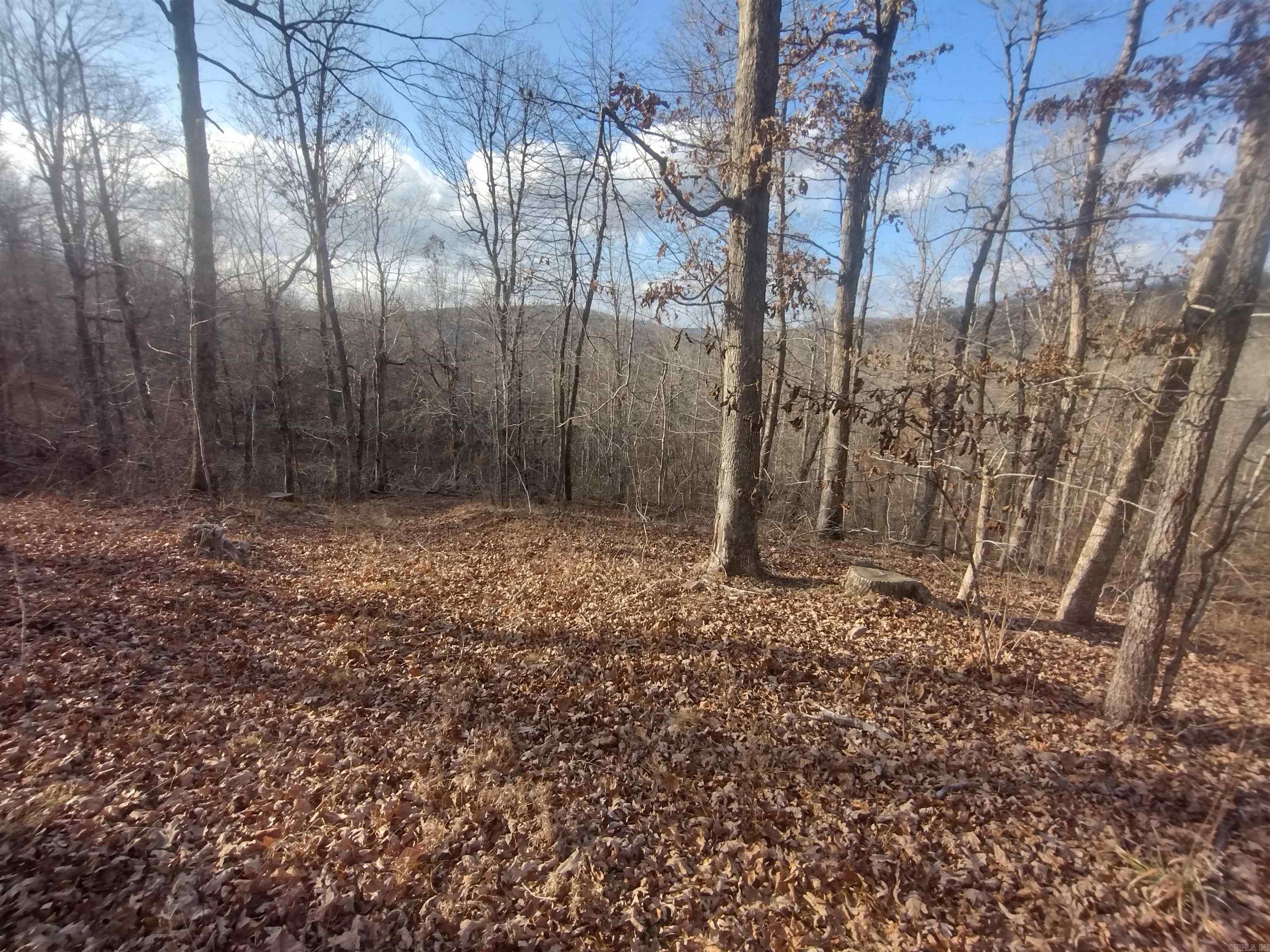 140 Brushy Creek rd  Mountain View, AR