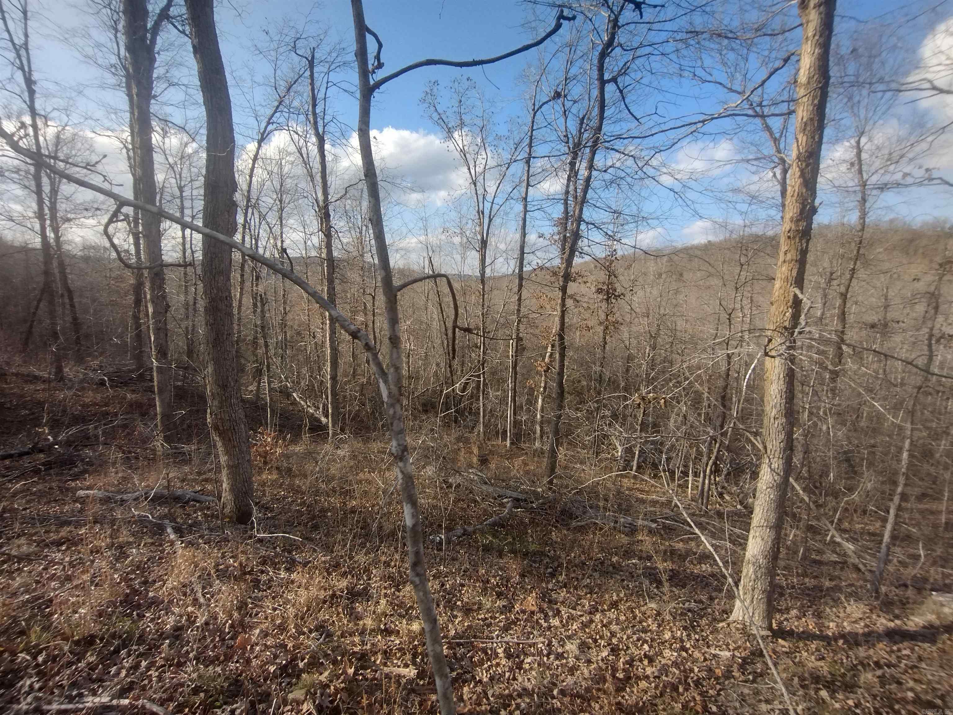 140 Brushy Creek rd  Mountain View, AR