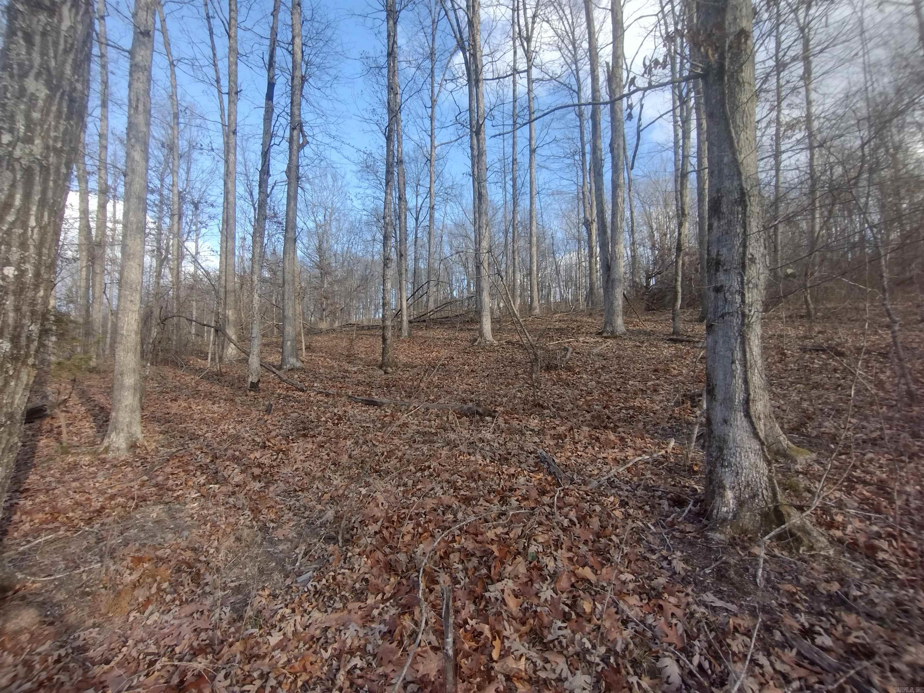 140 Brushy Creek rd  Mountain View, AR