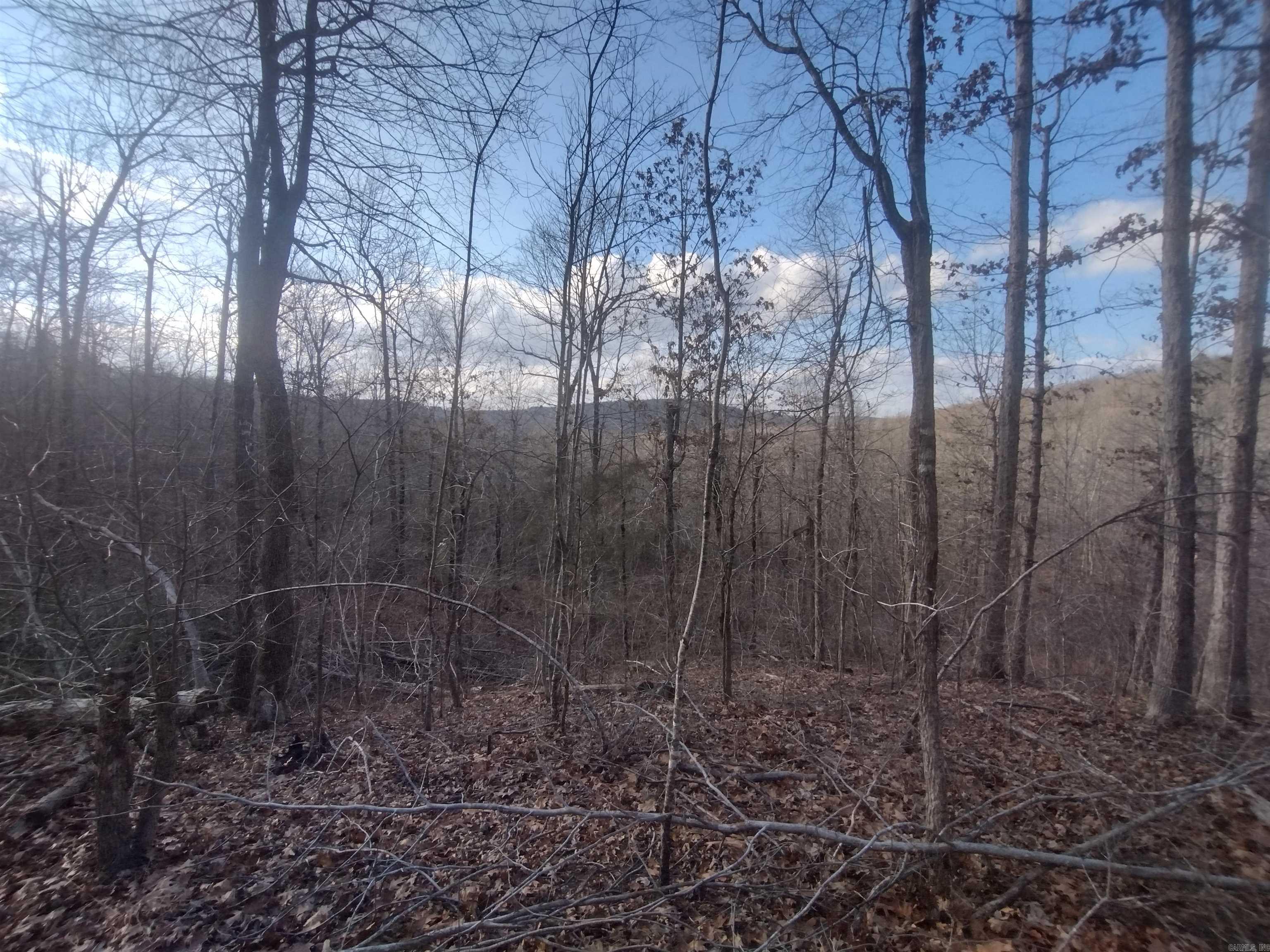 140 Brushy Creek rd  Mountain View, AR