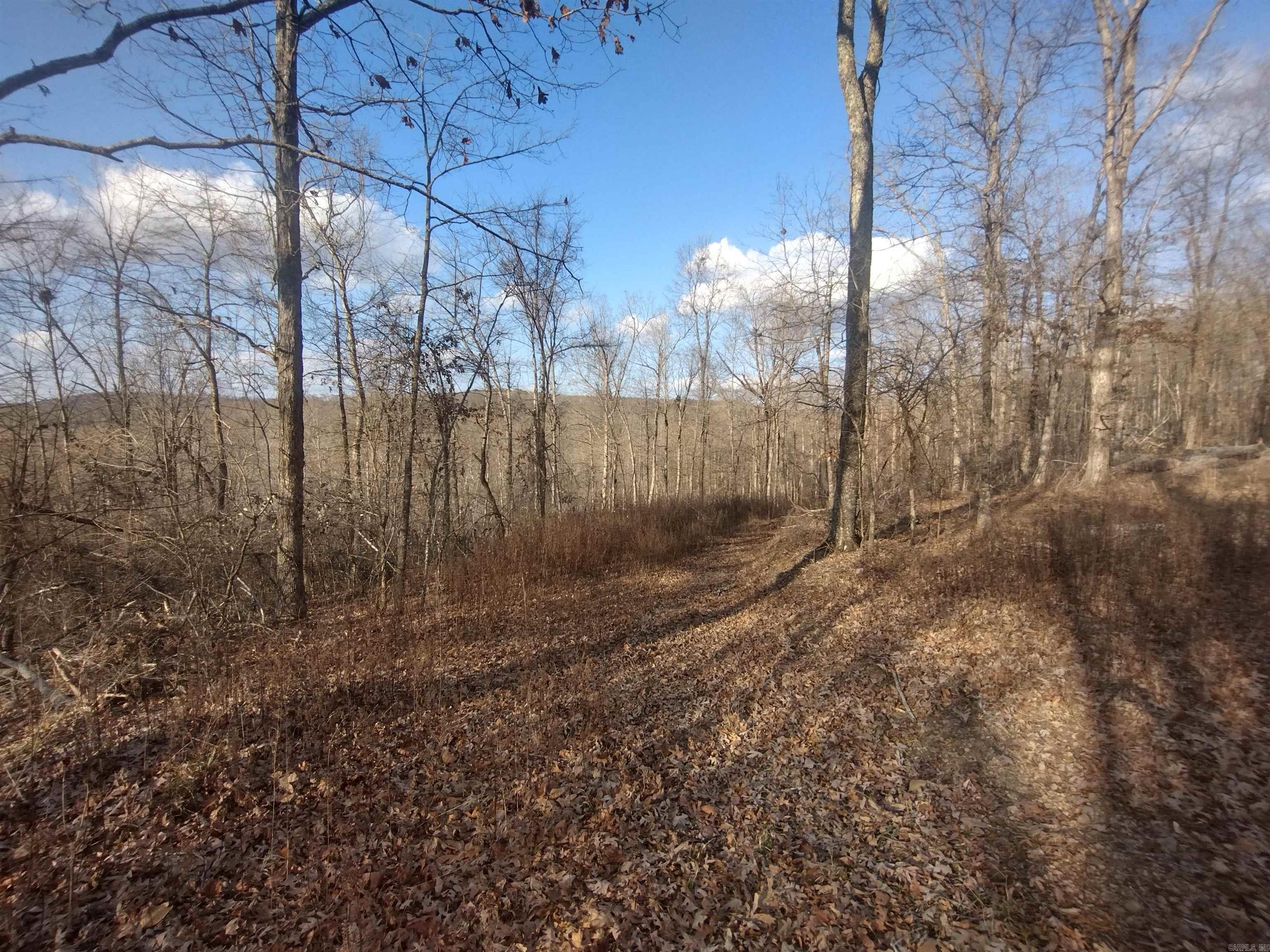 140 Brushy Creek rd  Mountain View, AR