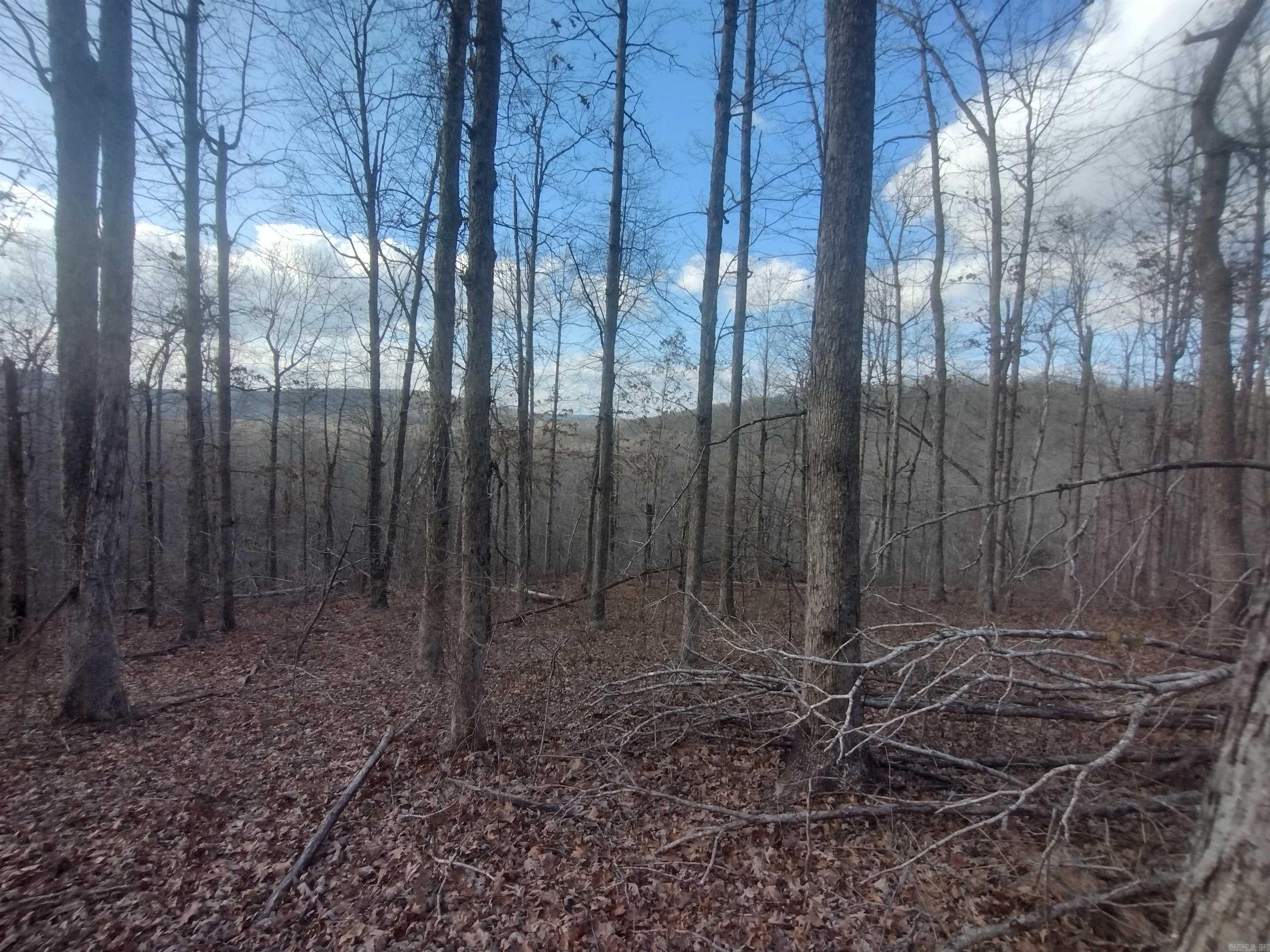 140 Brushy Creek rd  Mountain View, AR